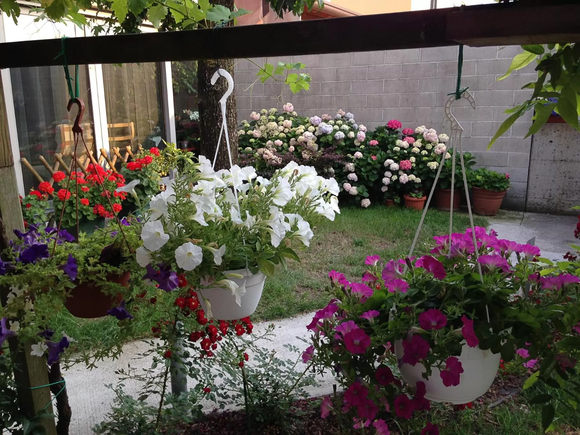 Garden view, Garden in BBnaon