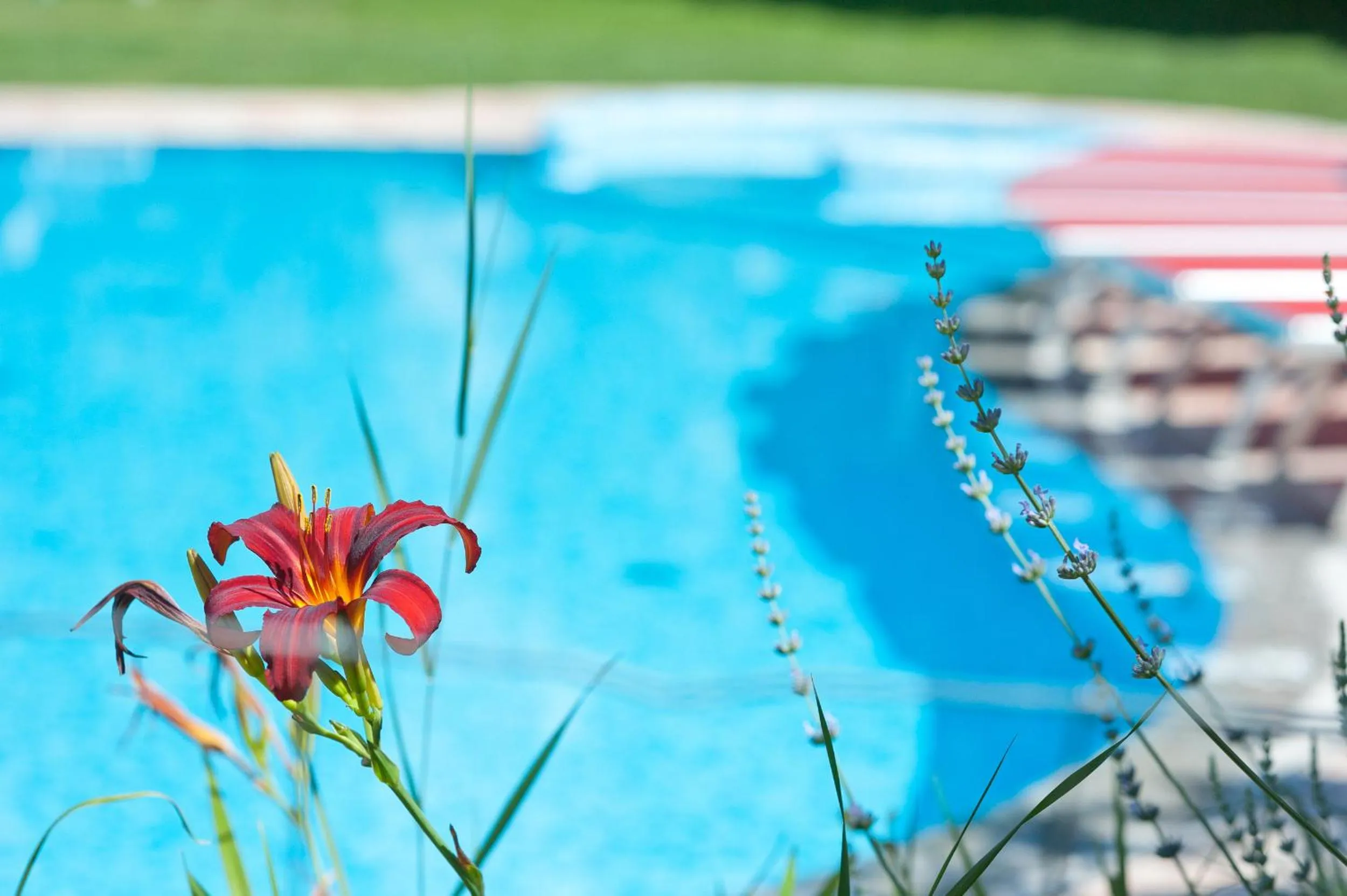 Swimming pool in Business Resort Parkhotel Werth