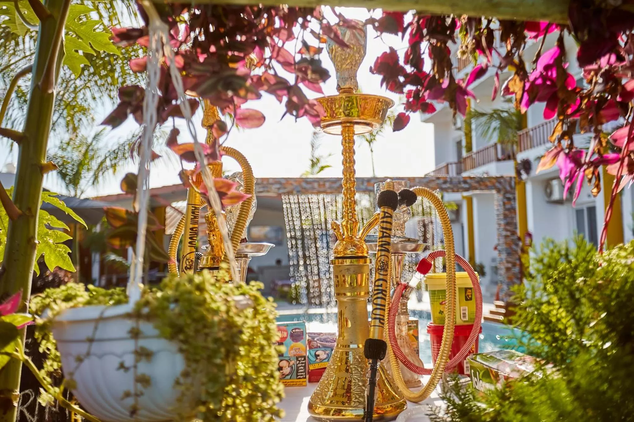 Day in Canary Nungwi Hotel & Free SPA