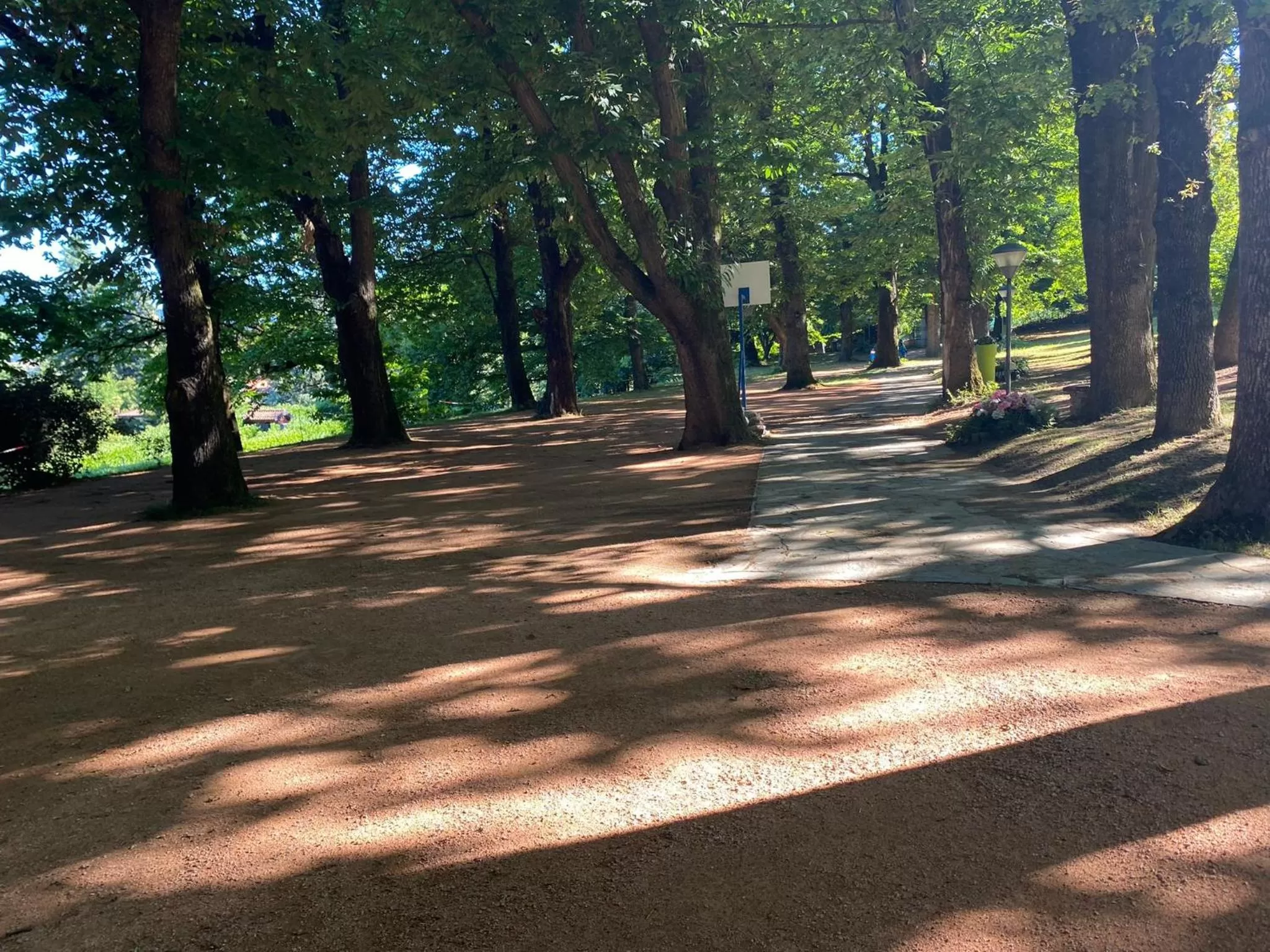 Garden in "La Selvetta" bed and breakfast