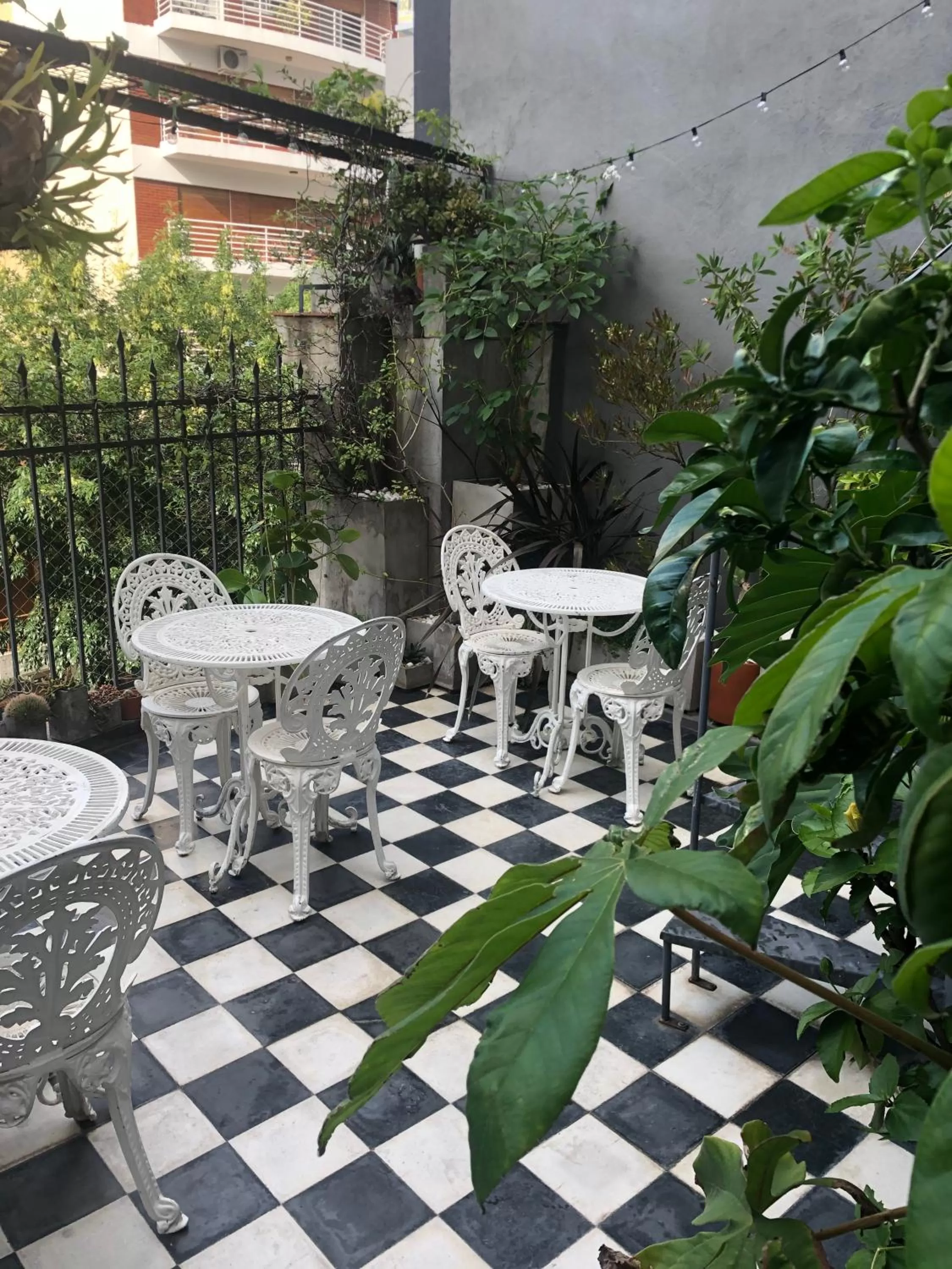 Garden in Le Petit Palais