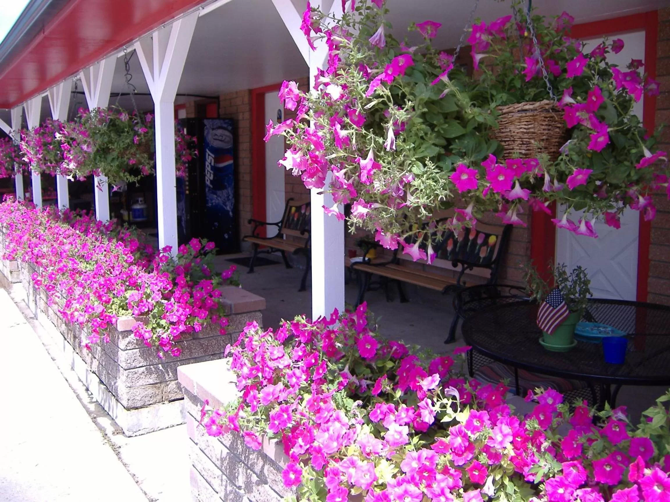 Patio in Greybull Motel
