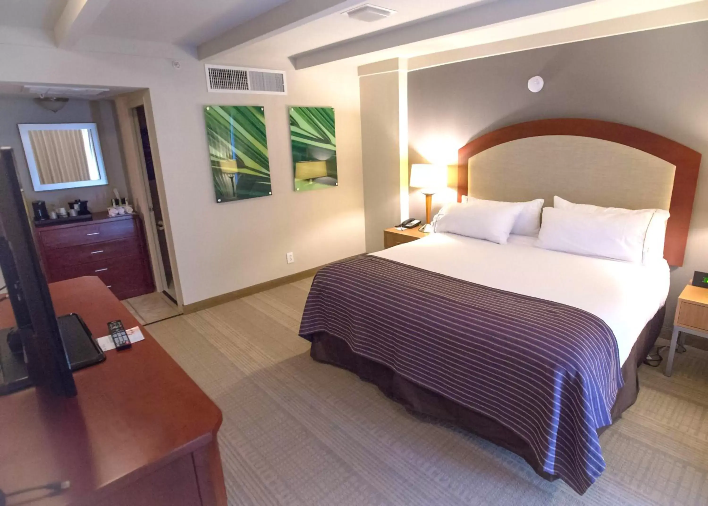 Holiday Inn Express St. Louis Central West End by IHG Holiday Inn Express St. Louis Central West End by IHG