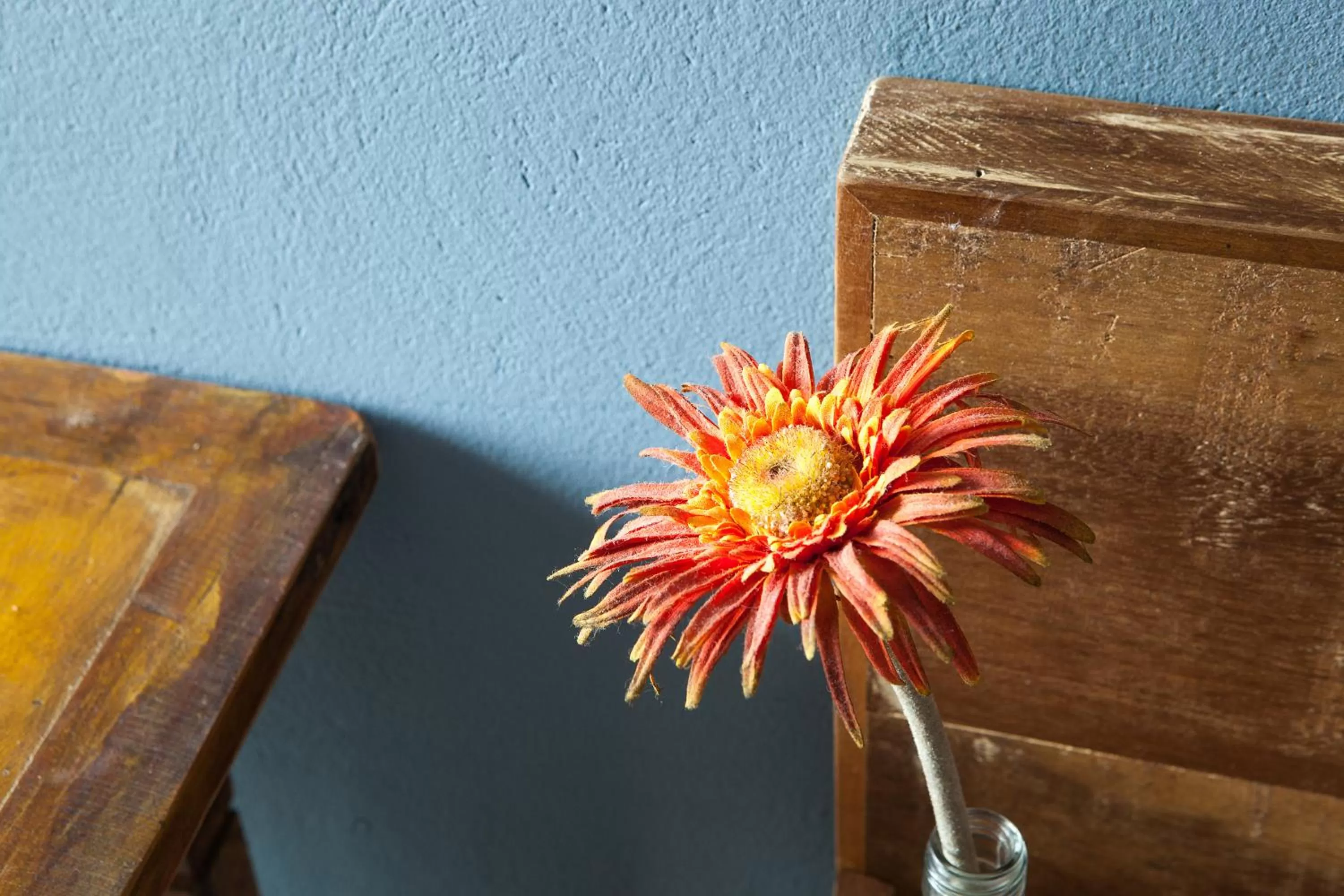 Decorative detail in Pousada Moquirido