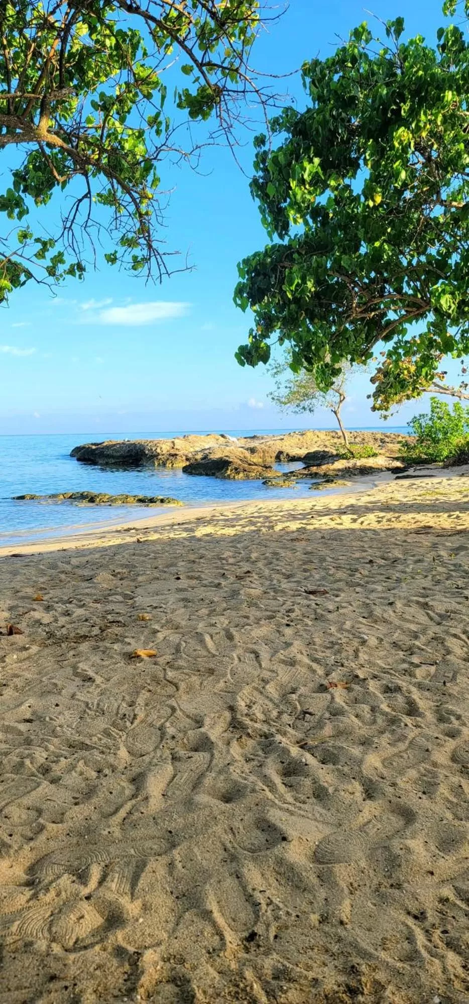 Activities in Blue Paloma Bed & Breakfast