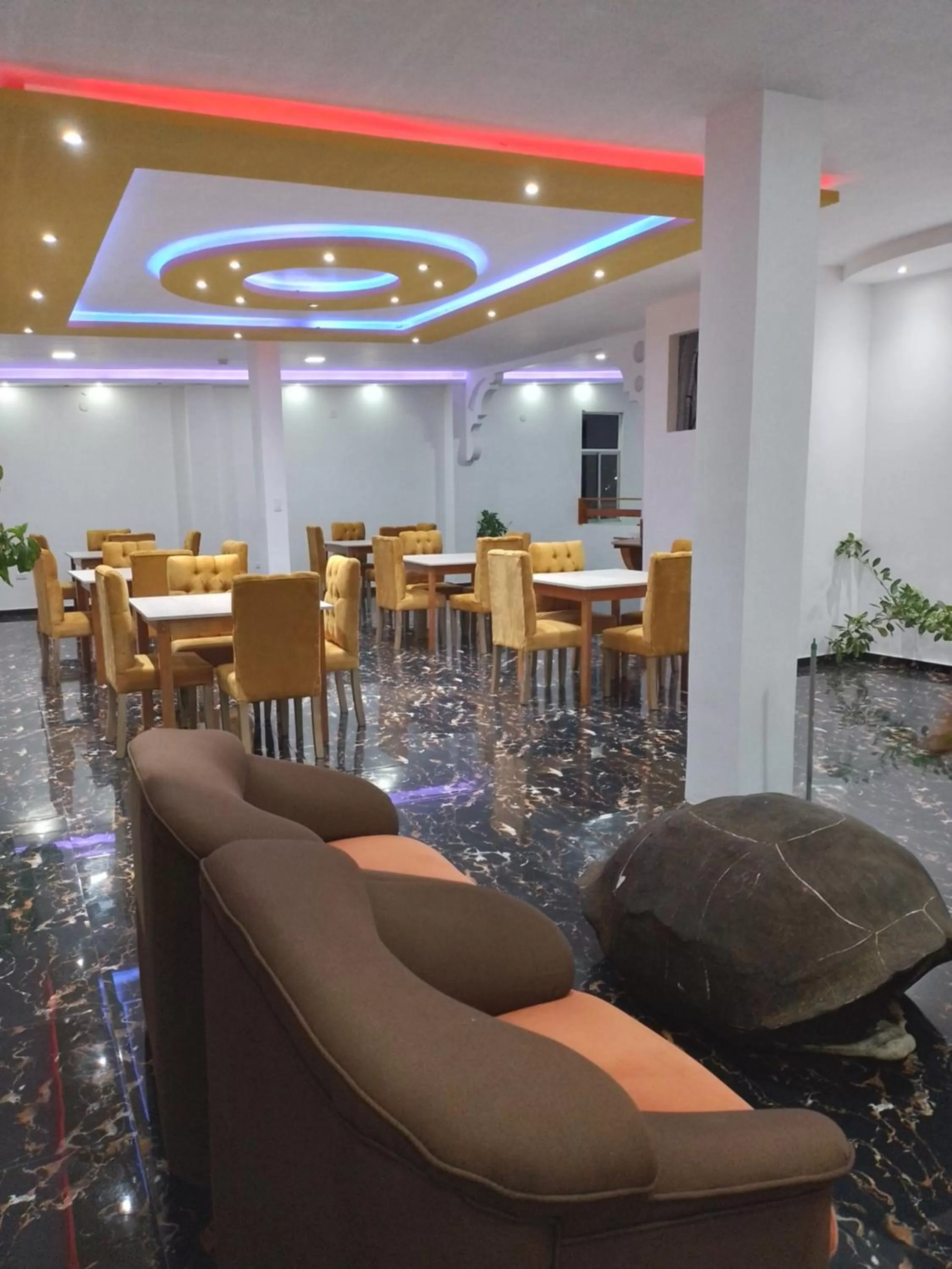 Banquet/Function facilities in Patty House Galapagos
