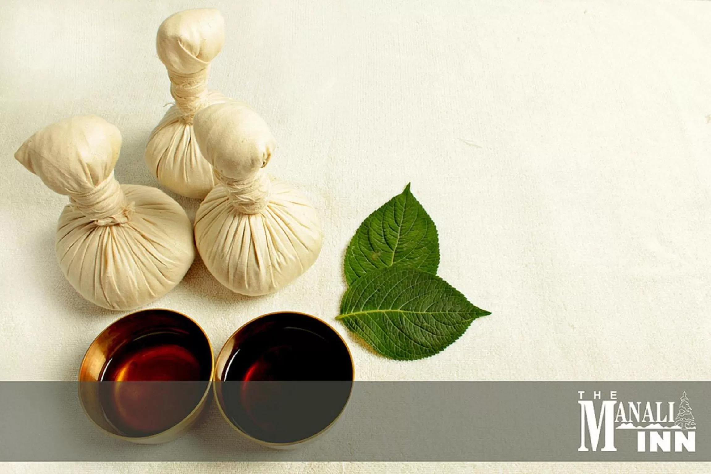 Massage in Bravia Hotel Manali Inn