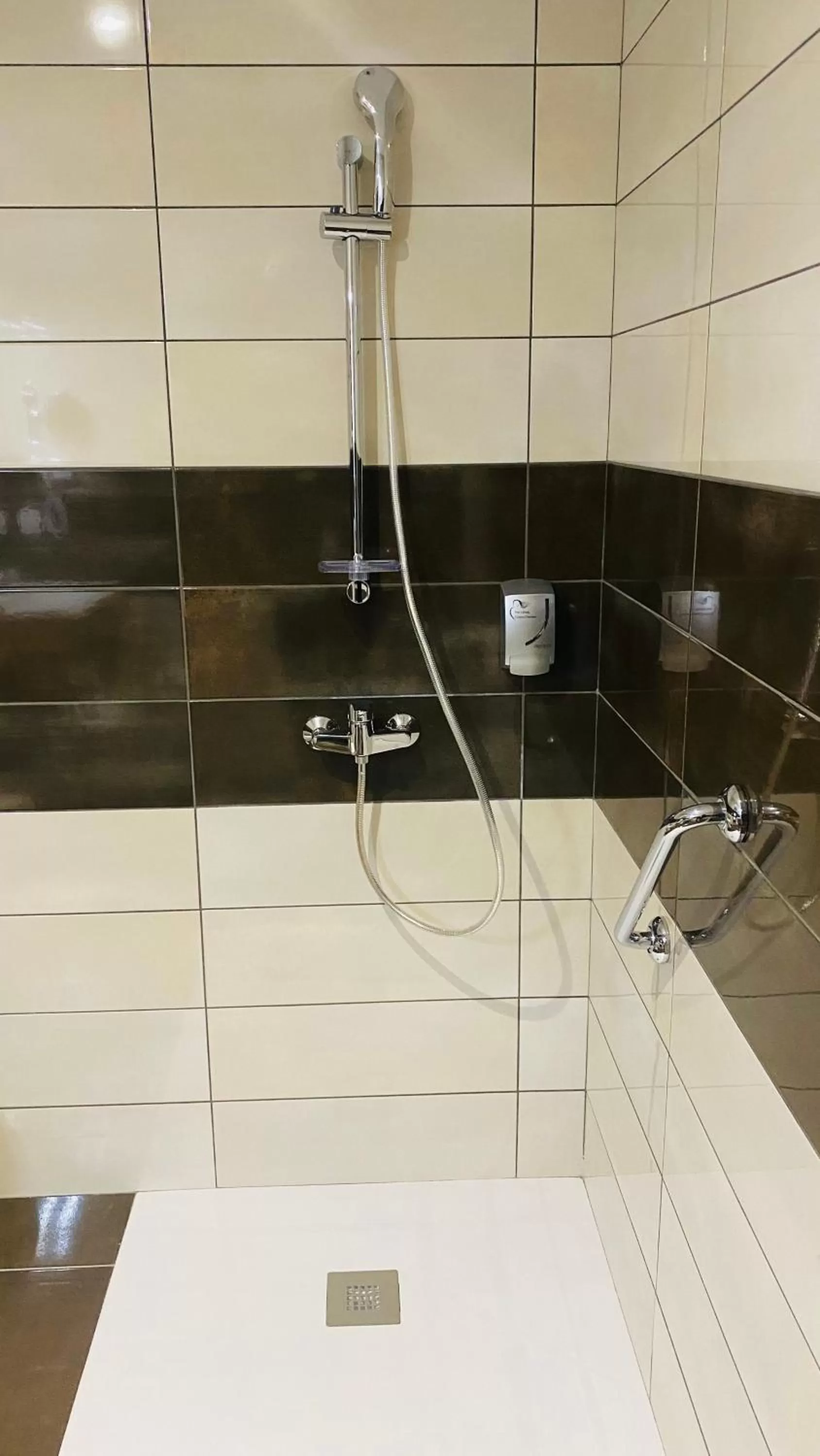 Bathroom in Hotel Martinez Grenay