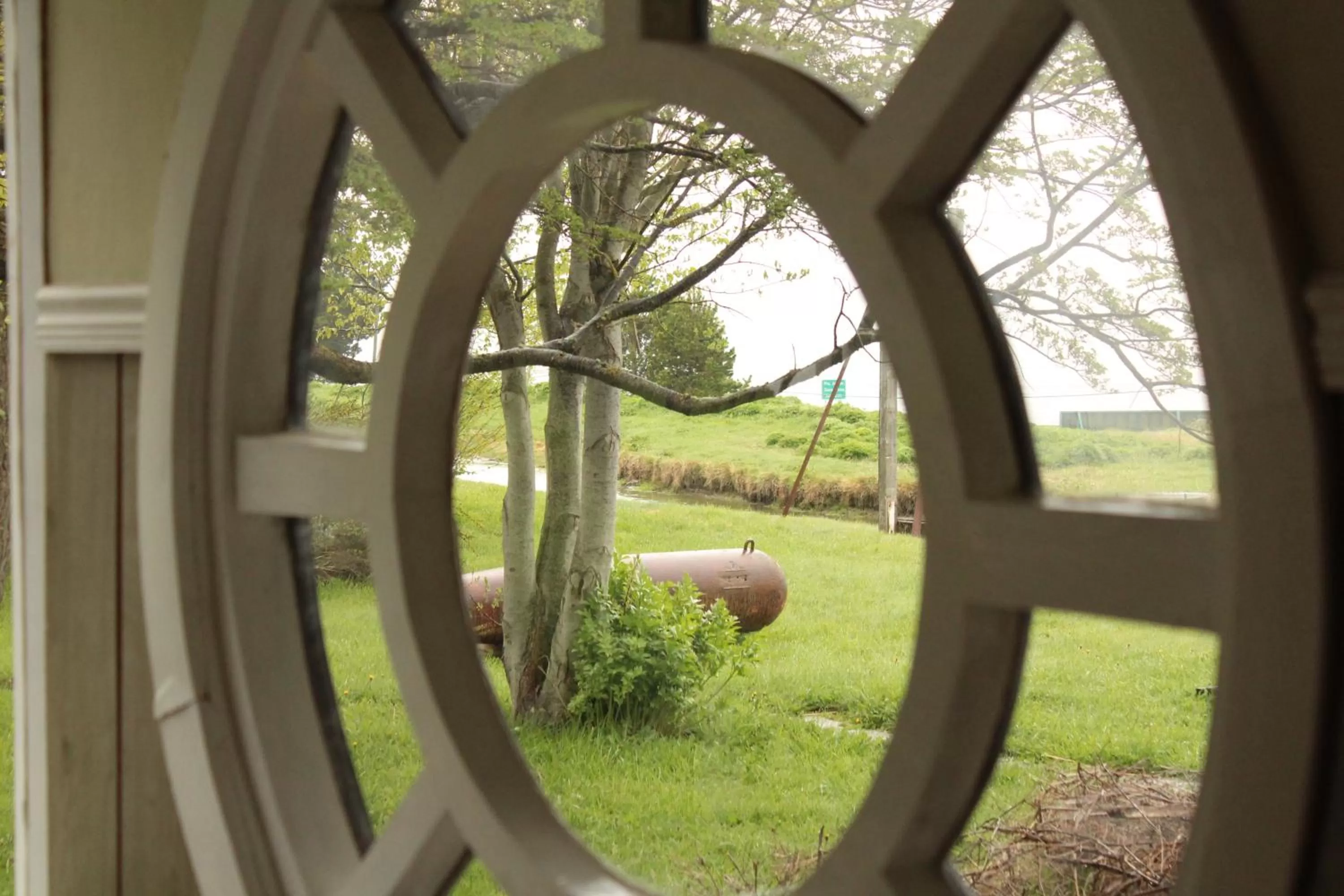 Garden view in Hospedaje Isla Magdalena