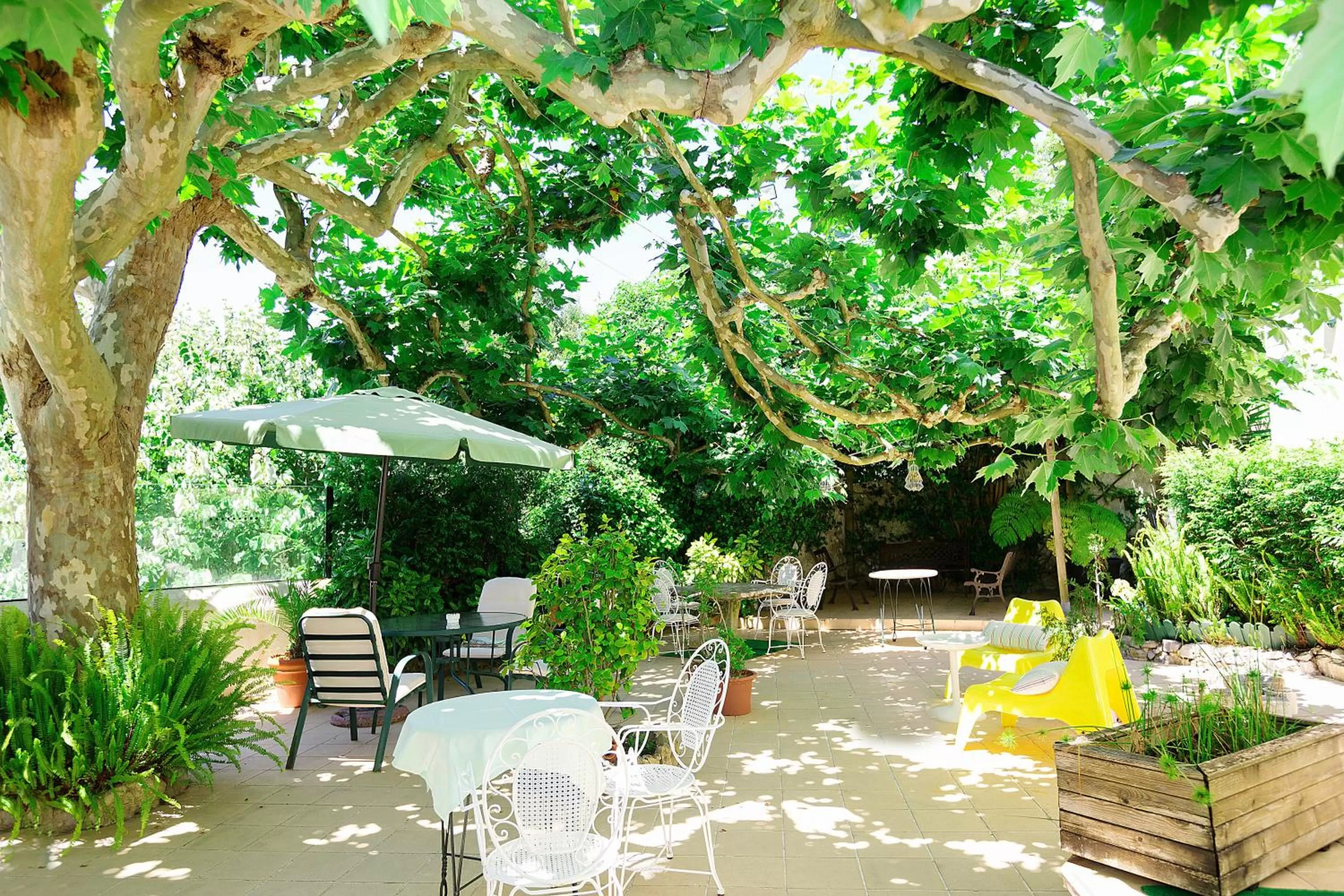 Garden in Hotel Nova Sintra - Adults only