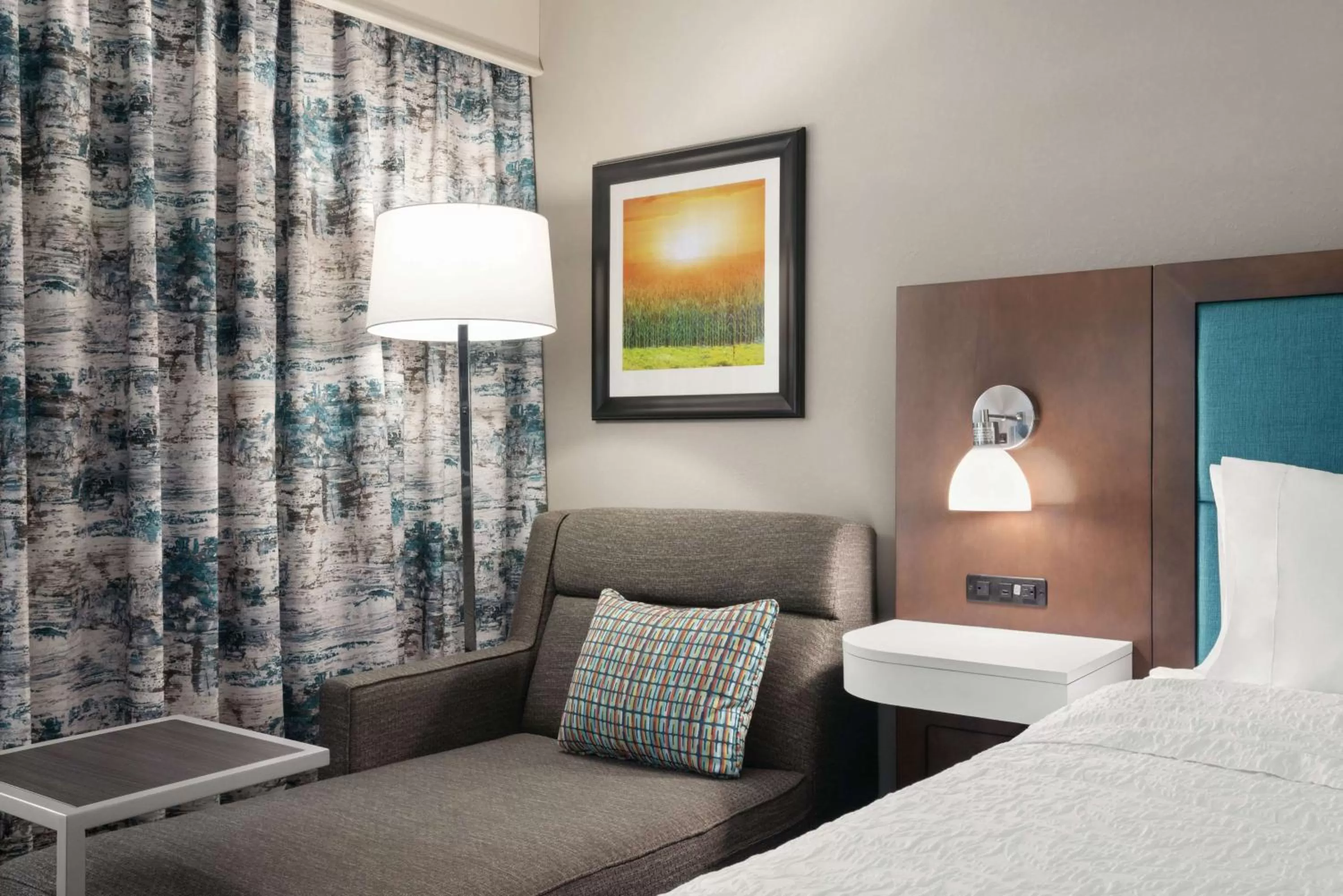 King Room - Hearing Accessible - Non-Smoking in Hampton Inn Champaign Southwest