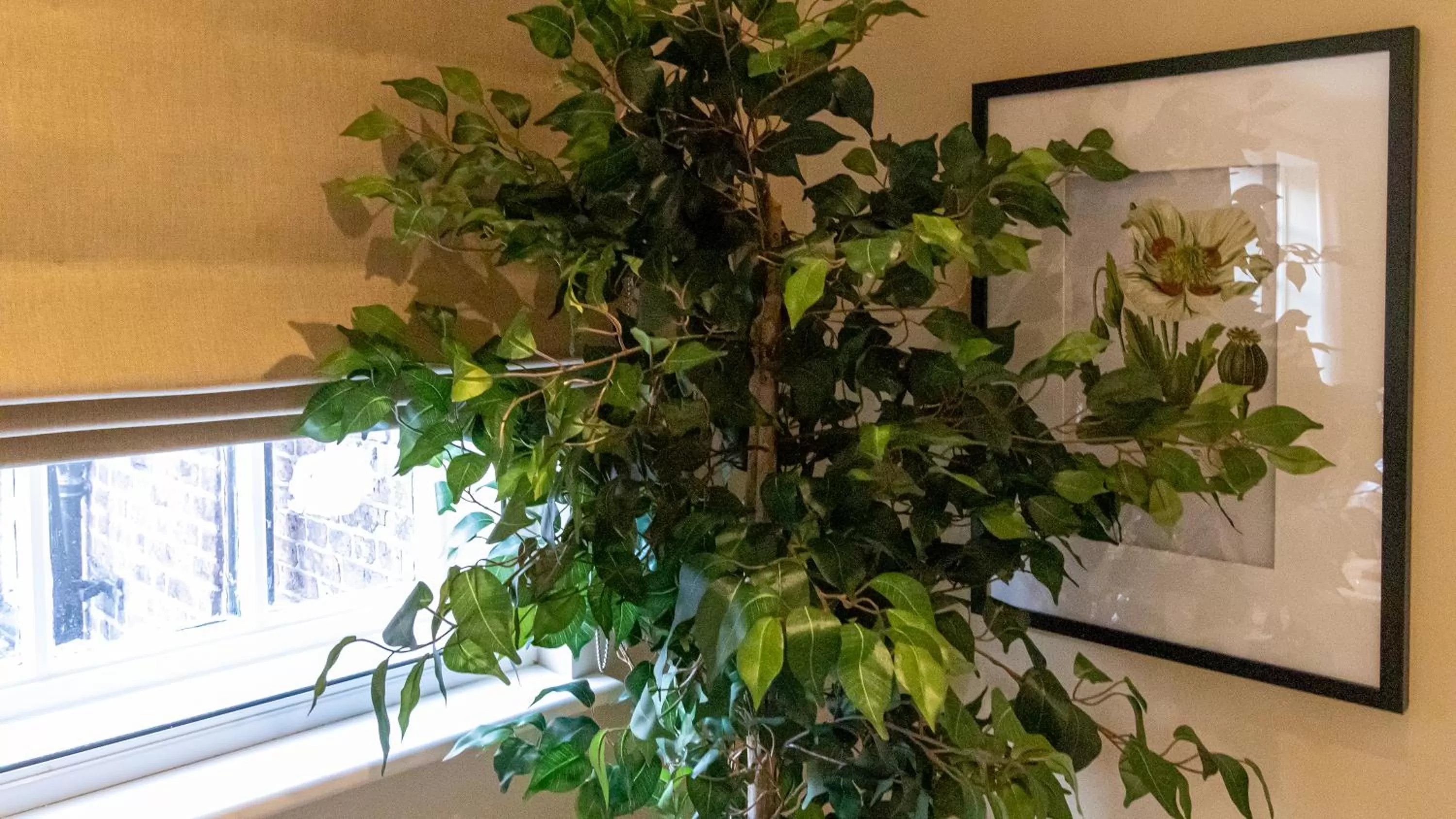 Garden in The Hotel Chester