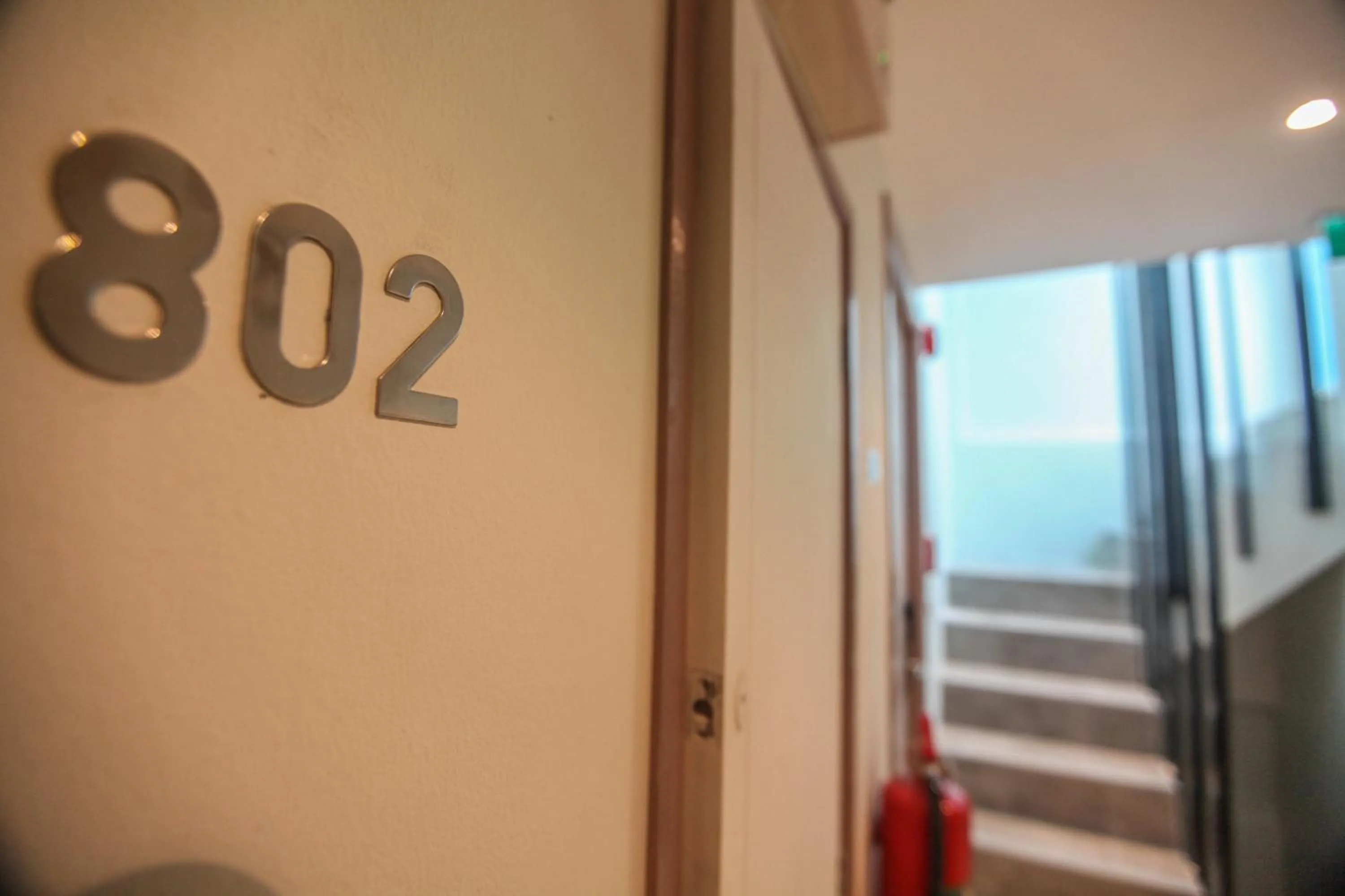 Logo/Certificate/Sign in Ocean and Ole Patong