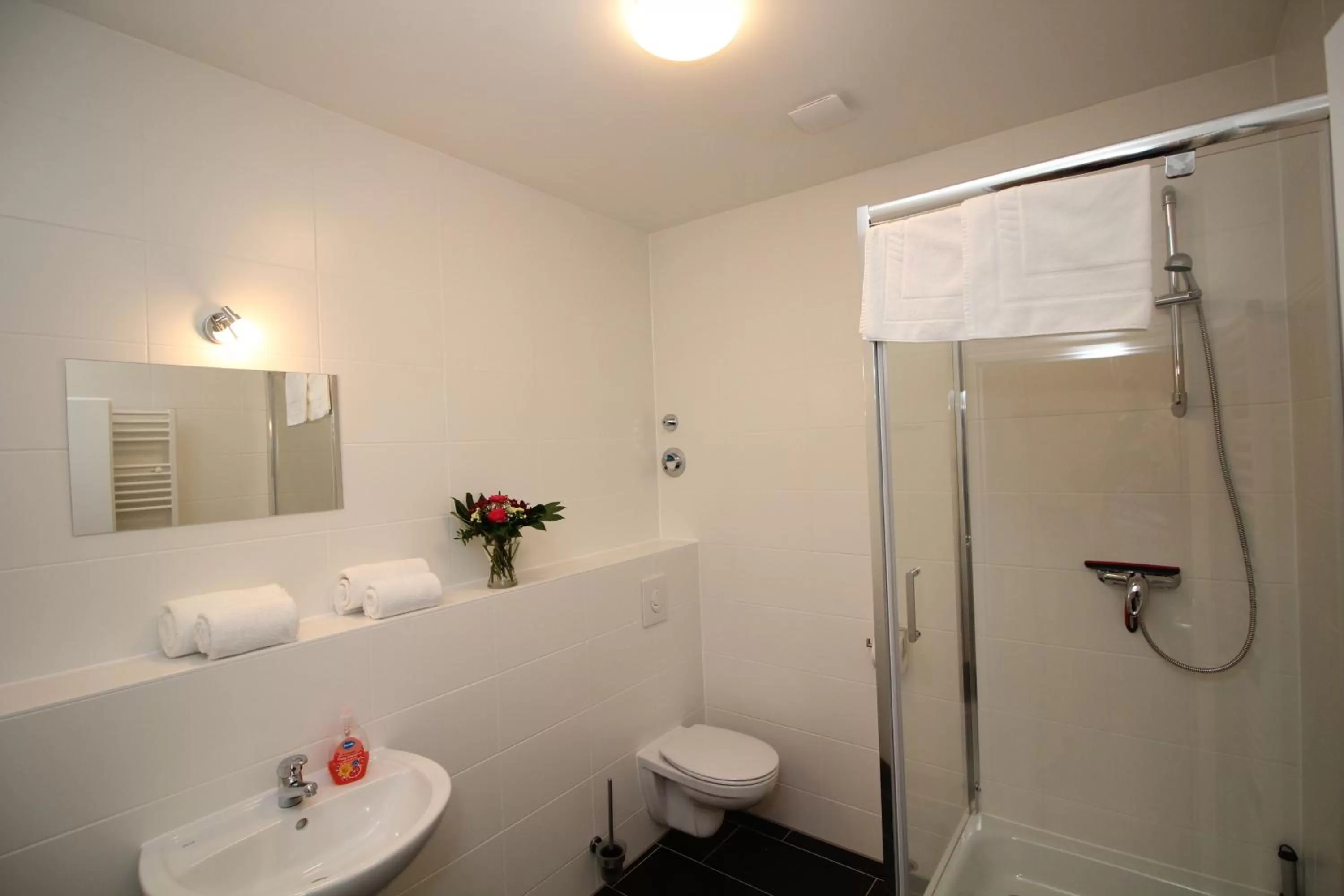 Bathroom in Apartments Tempelhof