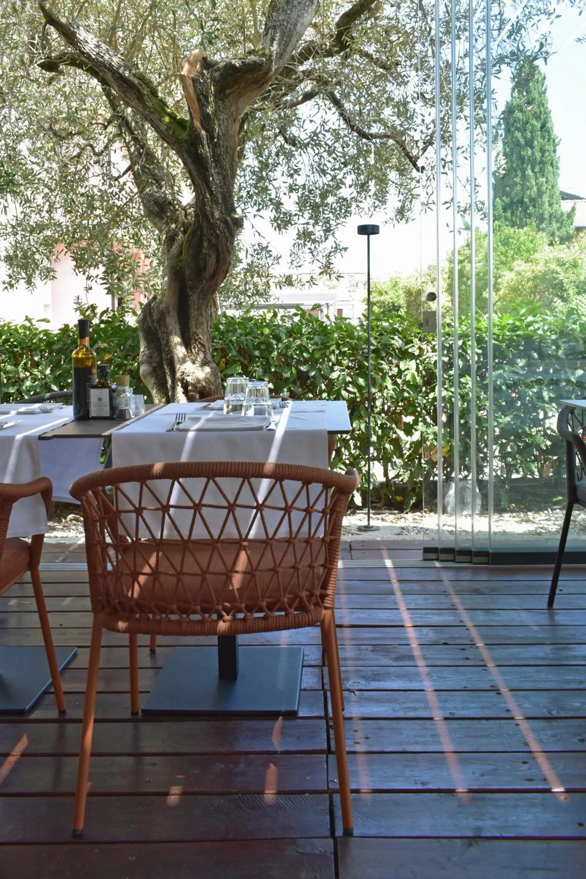 Restaurant/places to eat in Hotel Marolda