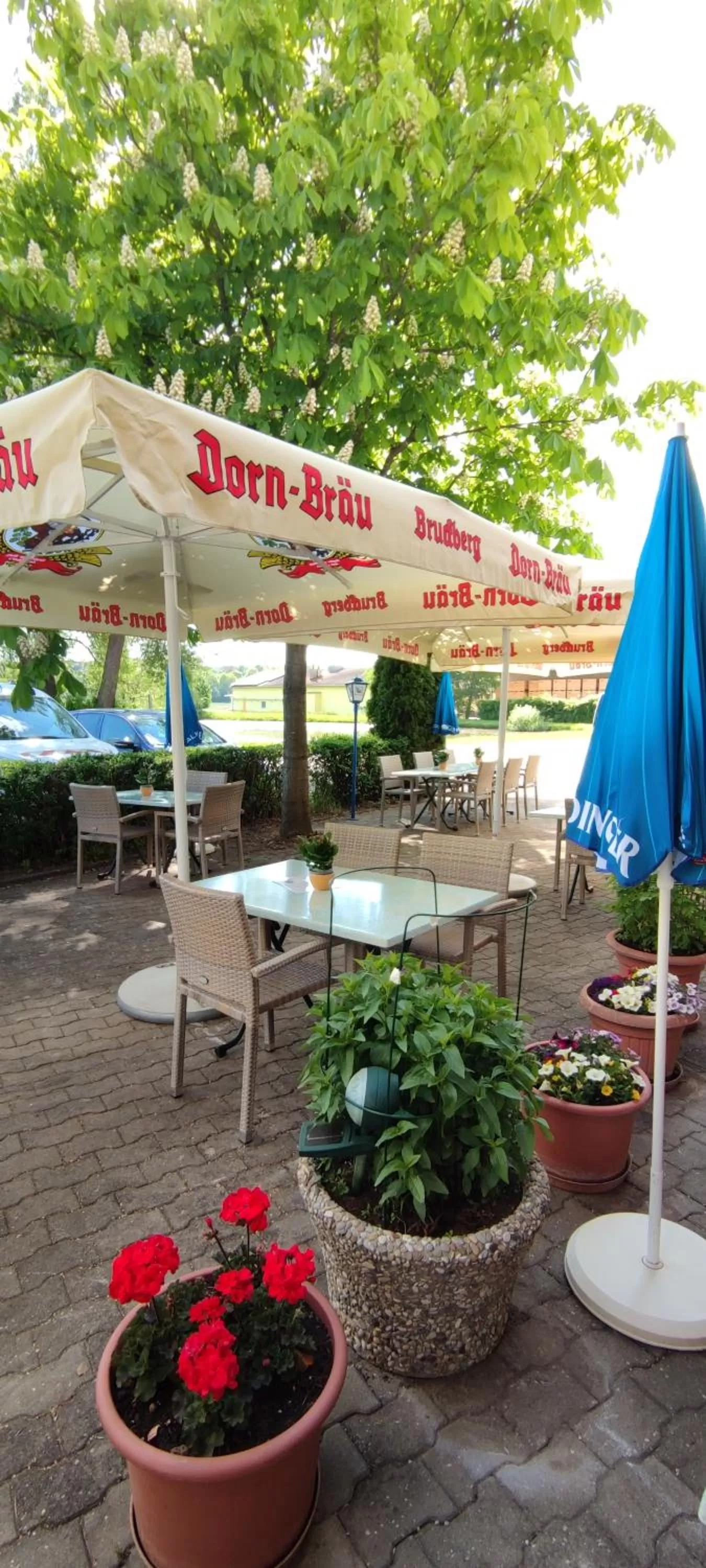 Garden in Gasthaus Pension Rezatgrund