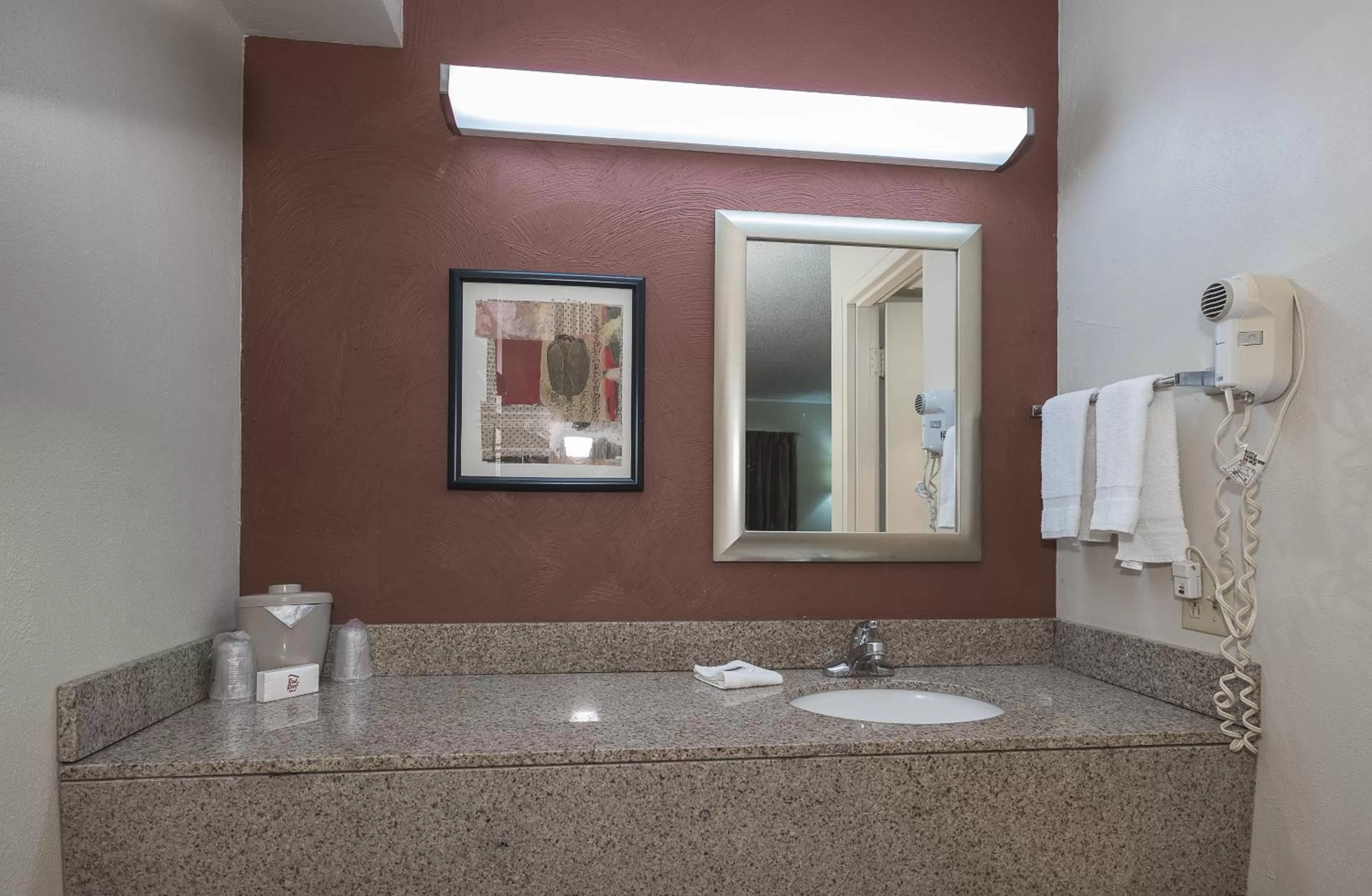 Bathroom in Red Roof Inn & Suites Cleveland - Elyria