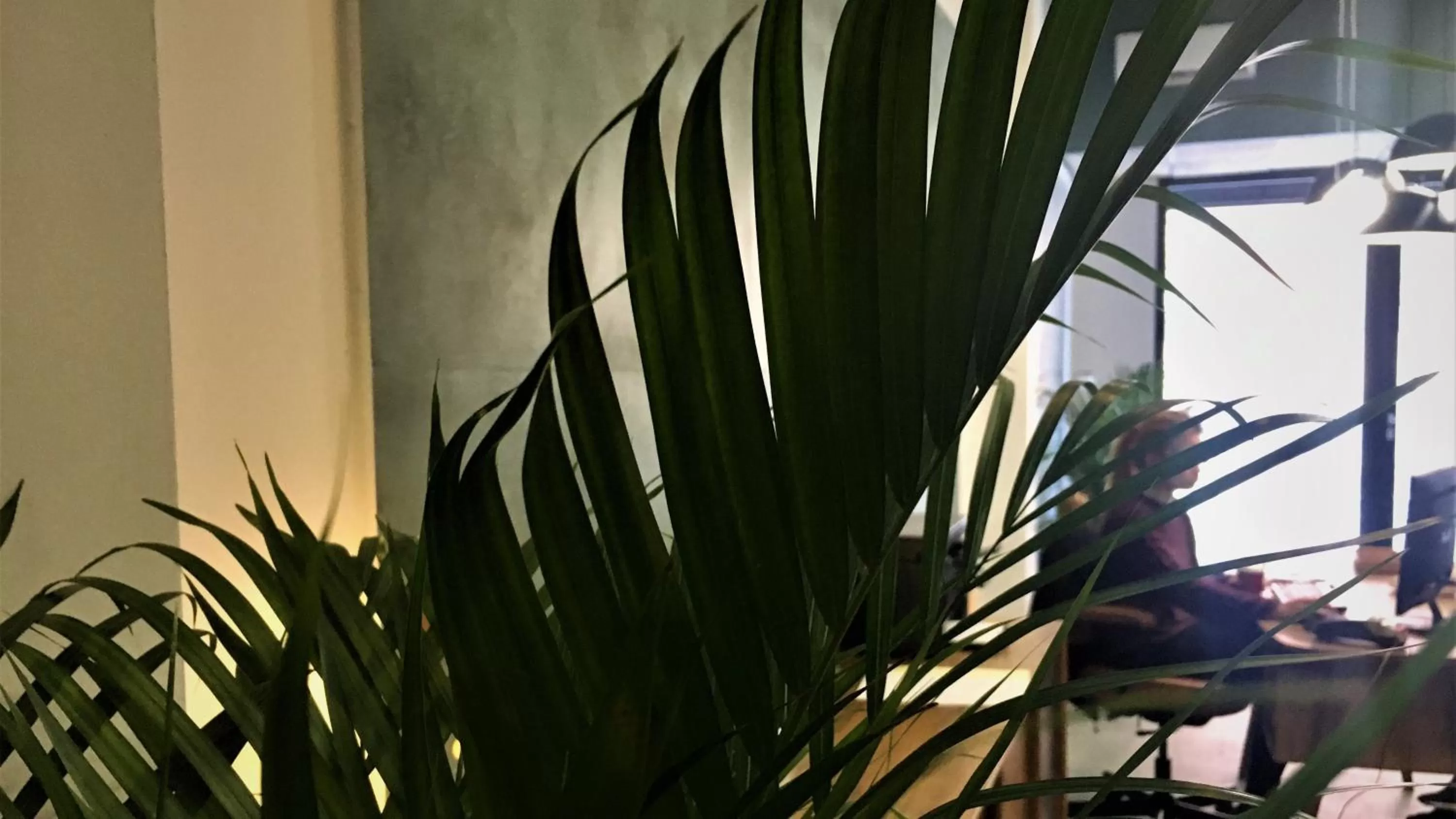 Property building in MD Modern Hotel - Jardines