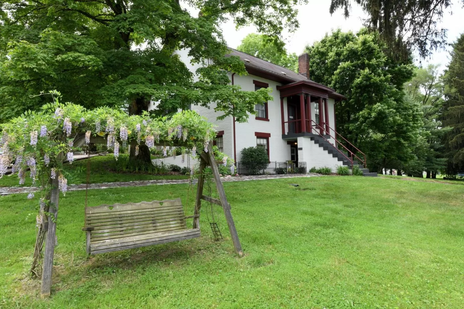 The Pines of Dresden