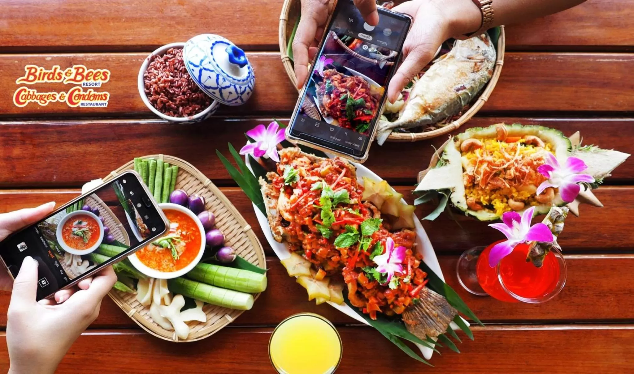 Food in Birds and Bees Resort