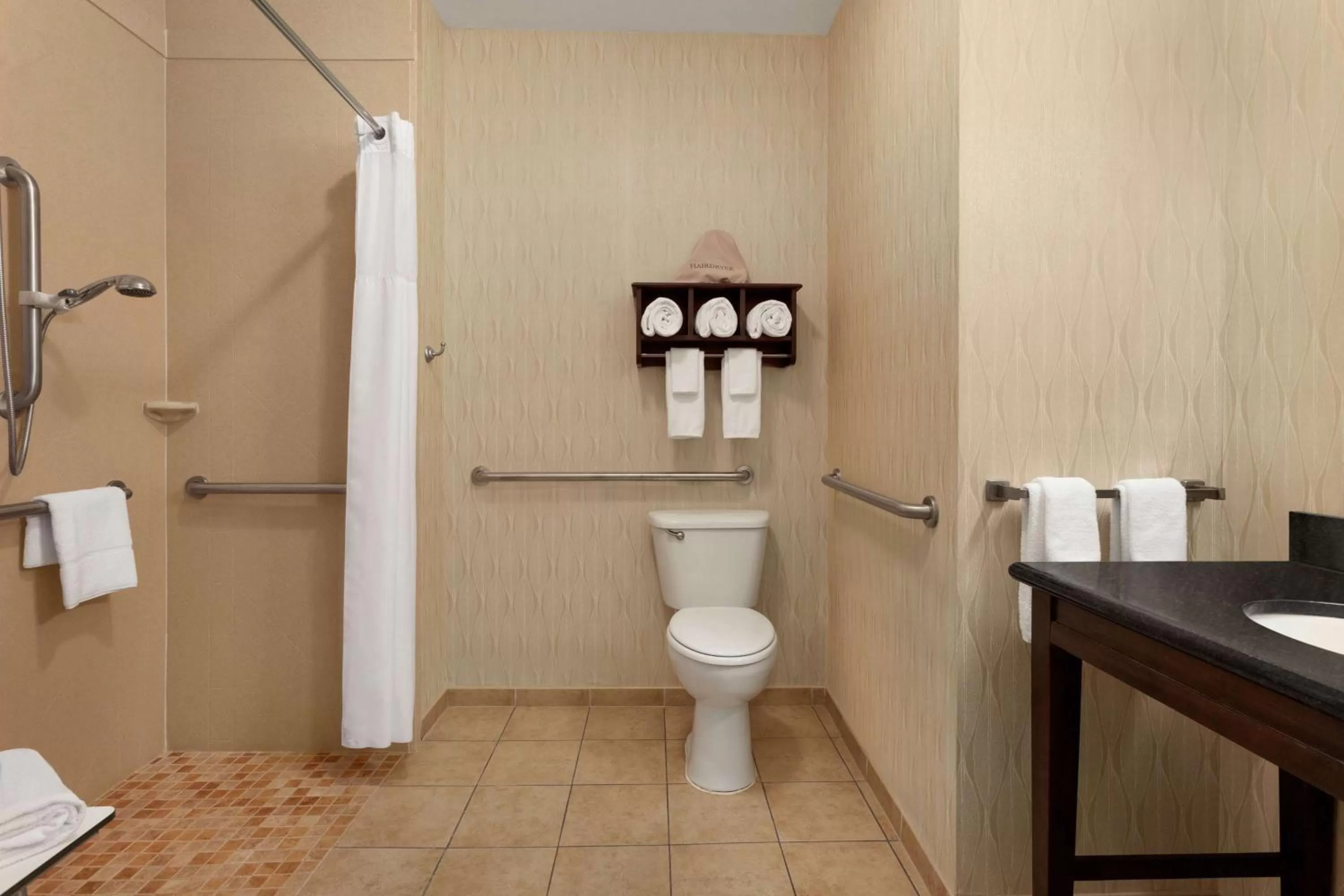 Bathroom in Hampton Inn Sulphur Springs