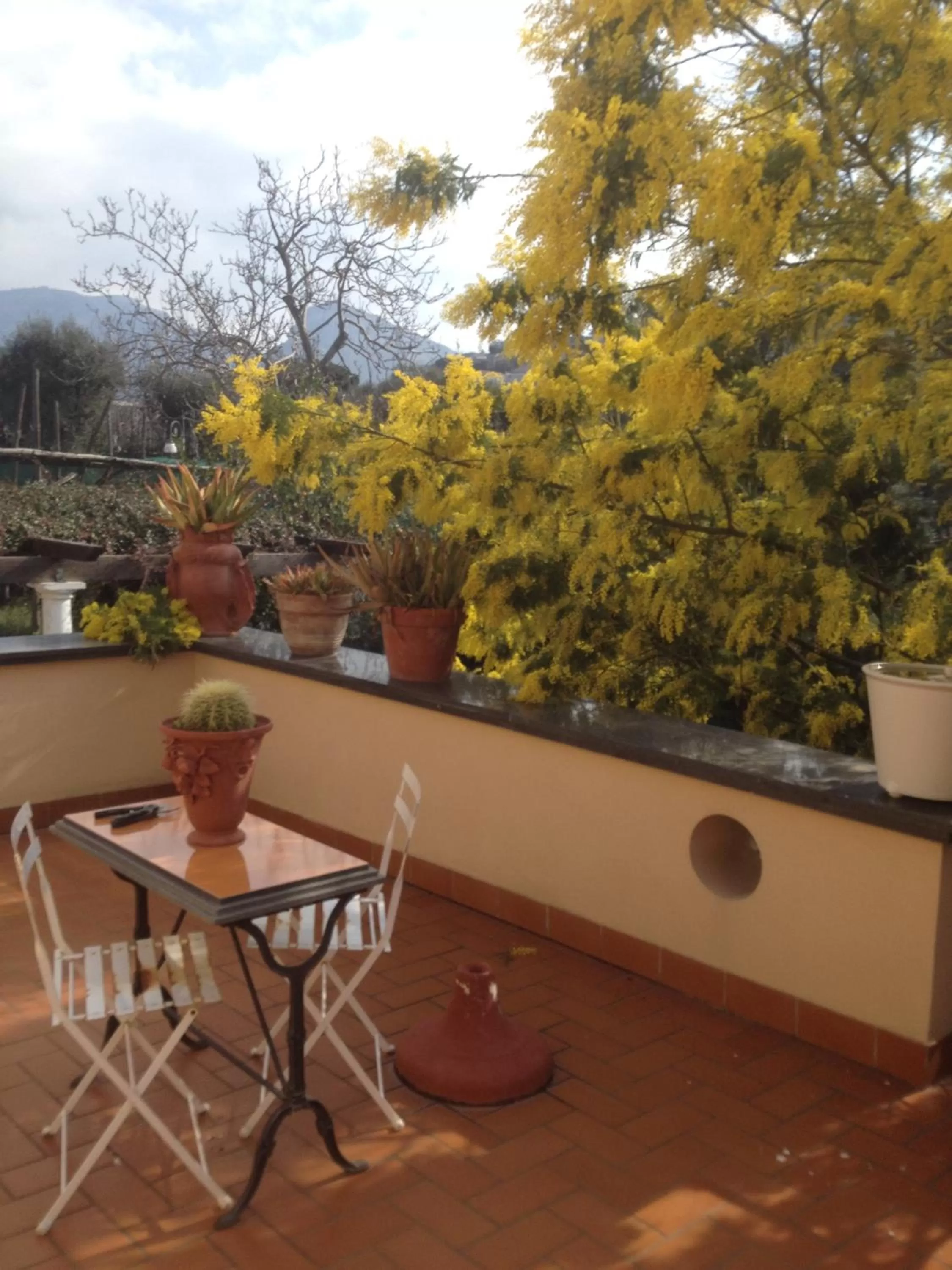 Property building in Domus Felix