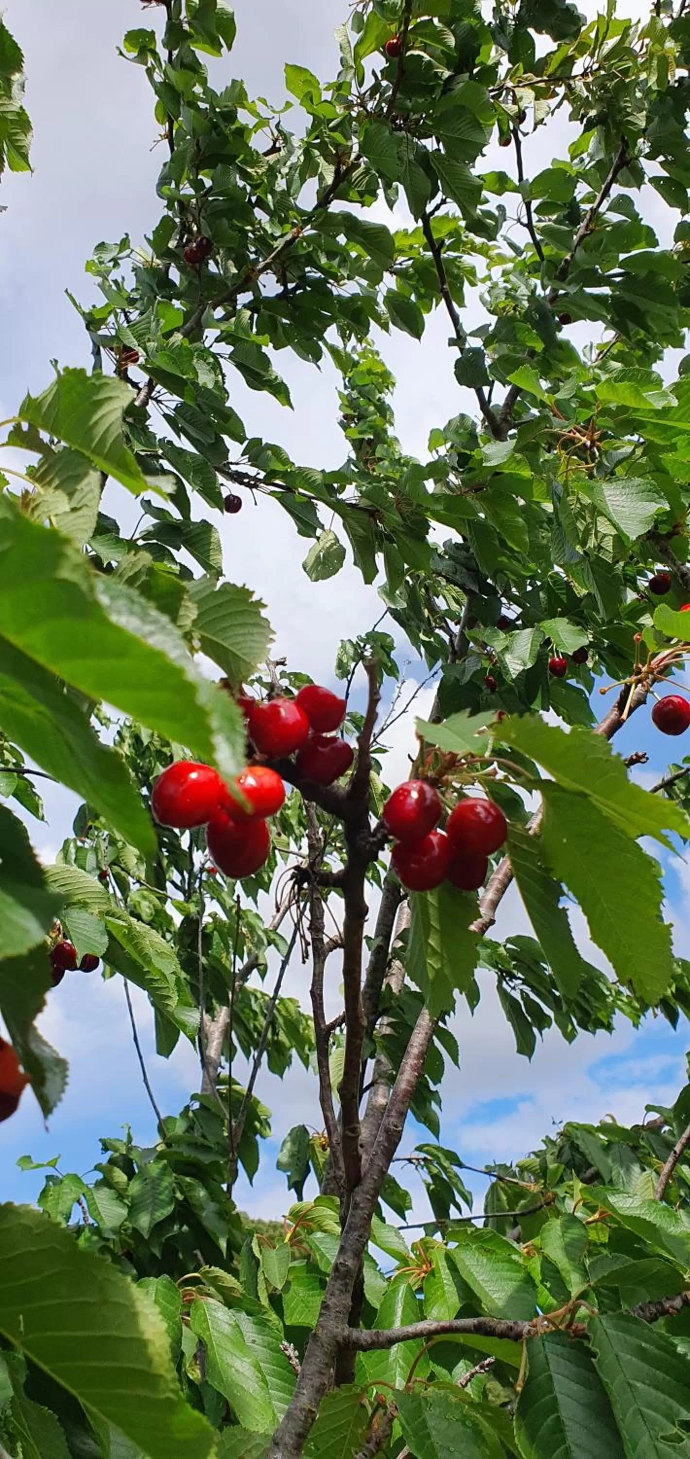 Aux berges du pont du gard