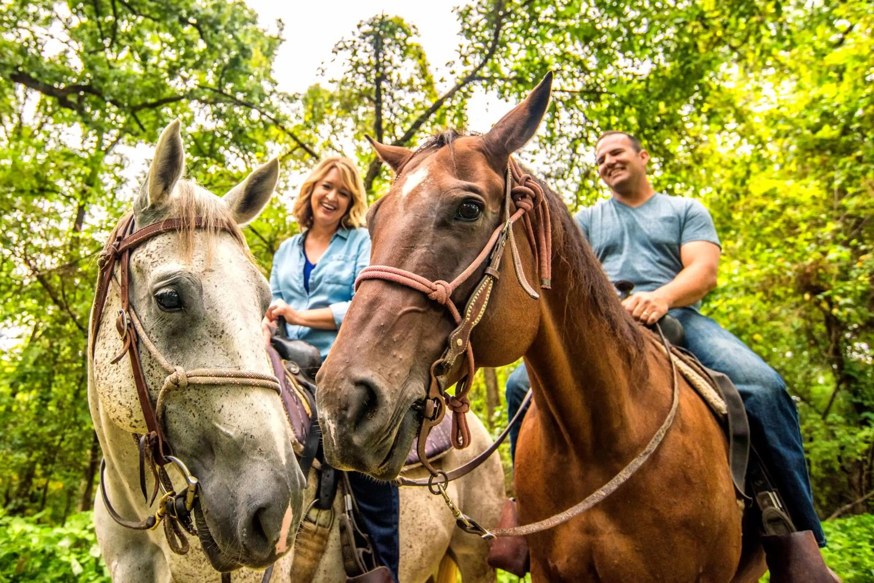 Horse-riding in Margaritaville Lake Resort Lake of the Ozarks