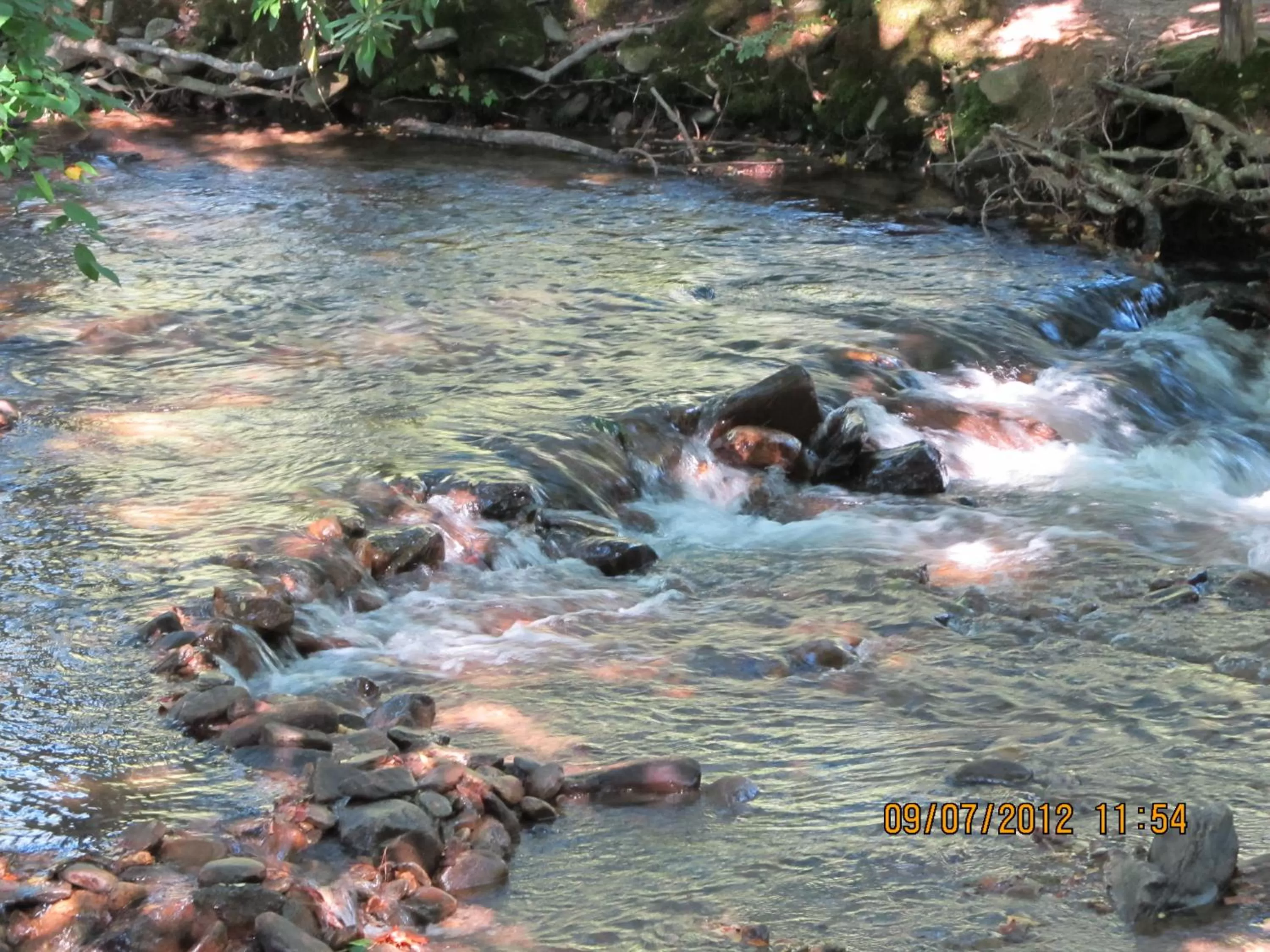 Area and facilities in Jonathan Creek Inn and Villas