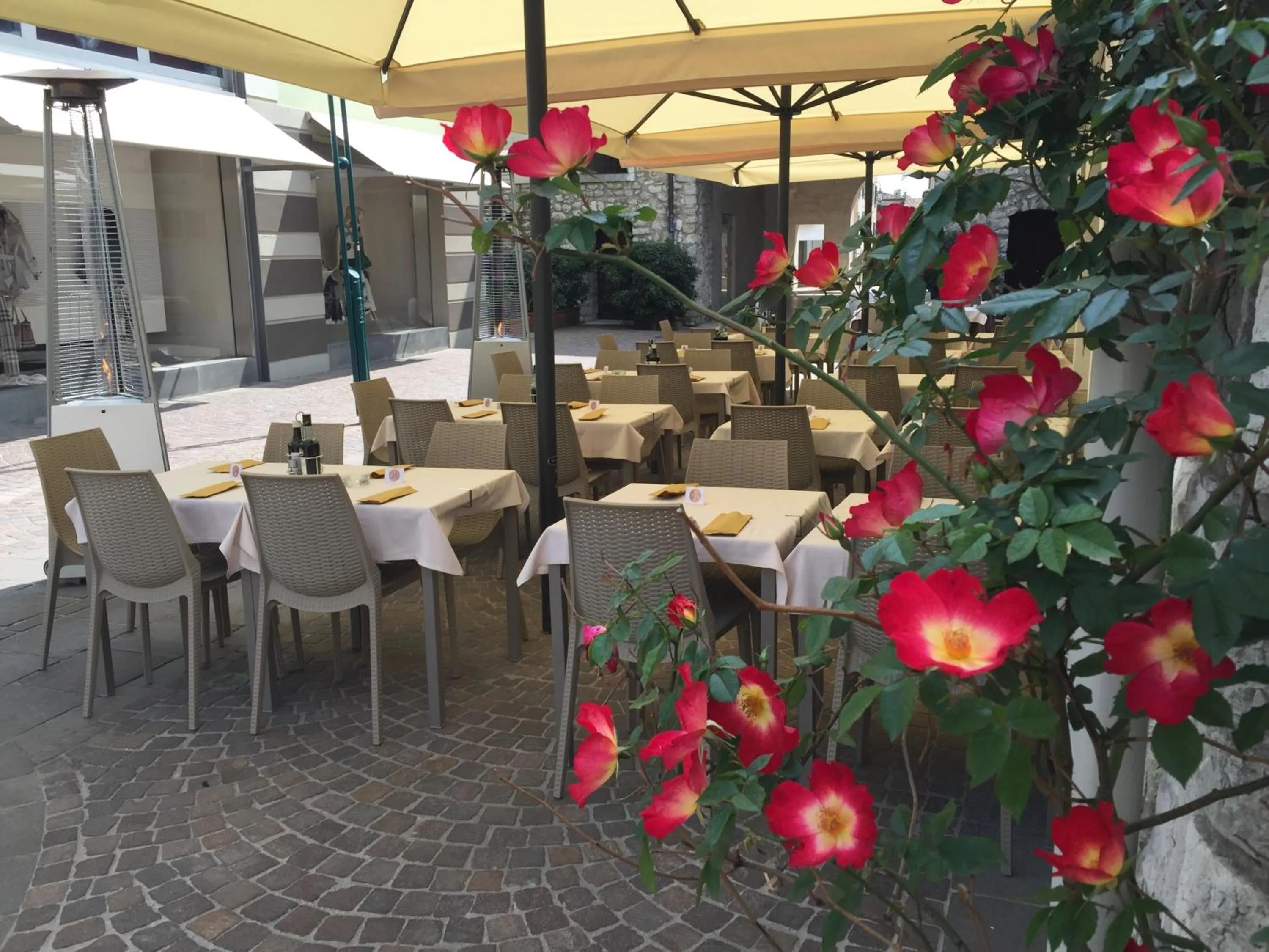 Restaurant/places to eat in Hotel RivaMia