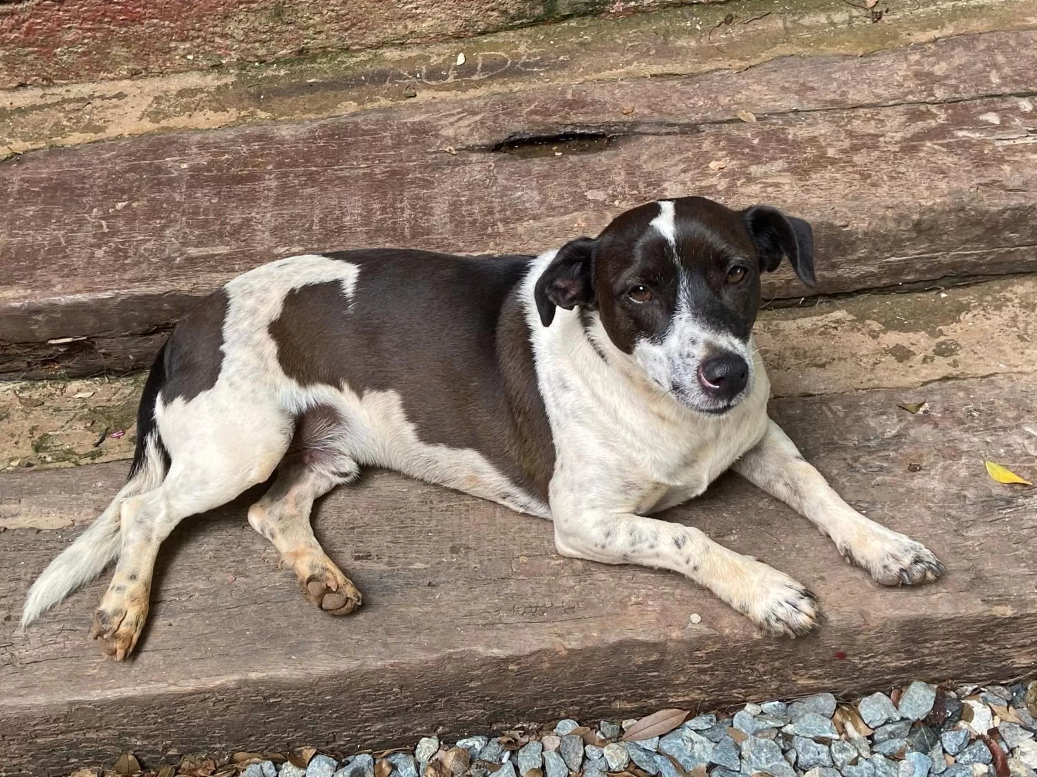 A Mi Manera Pousada , cerveja própria e Bistrô !