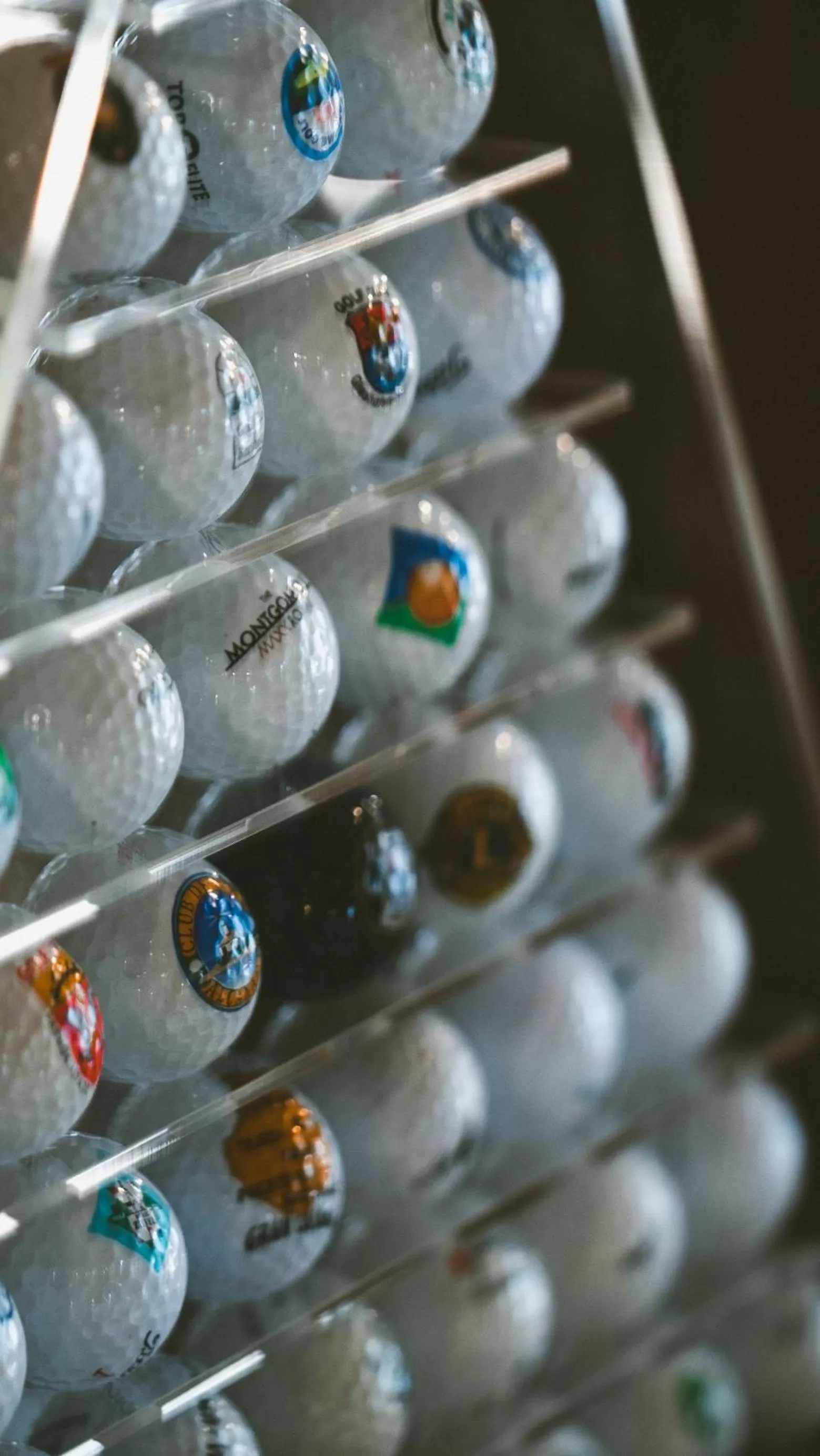 Summer in Hotel Büchner Garni