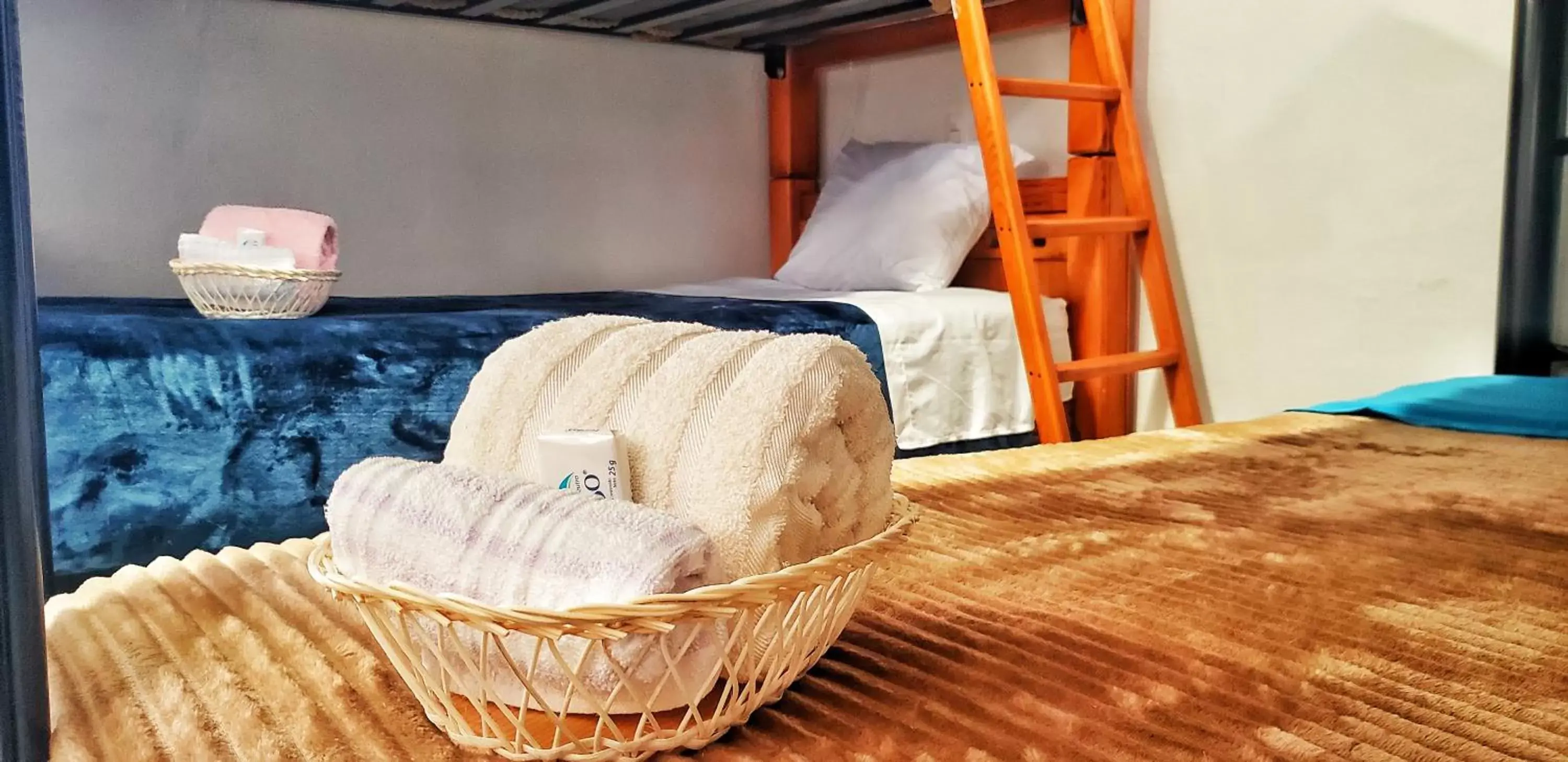 Single Bed in 4-Bed Female Dormitory in MESON AMELIA Single Bed in 4-Bed Female Dormitory in MESON AMELIA