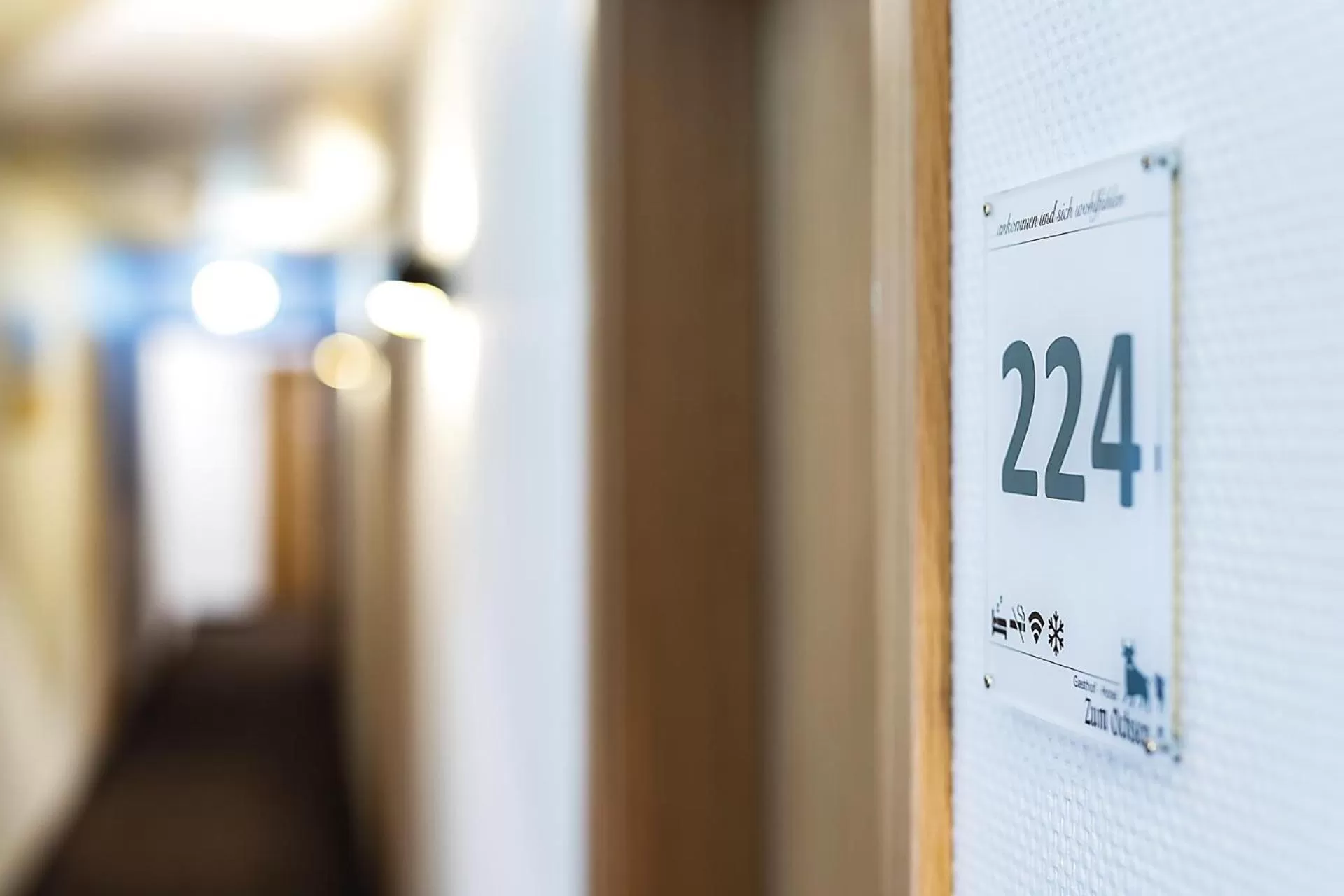 Decorative detail in Gasthof - Hotel zum Ochsen GmbH