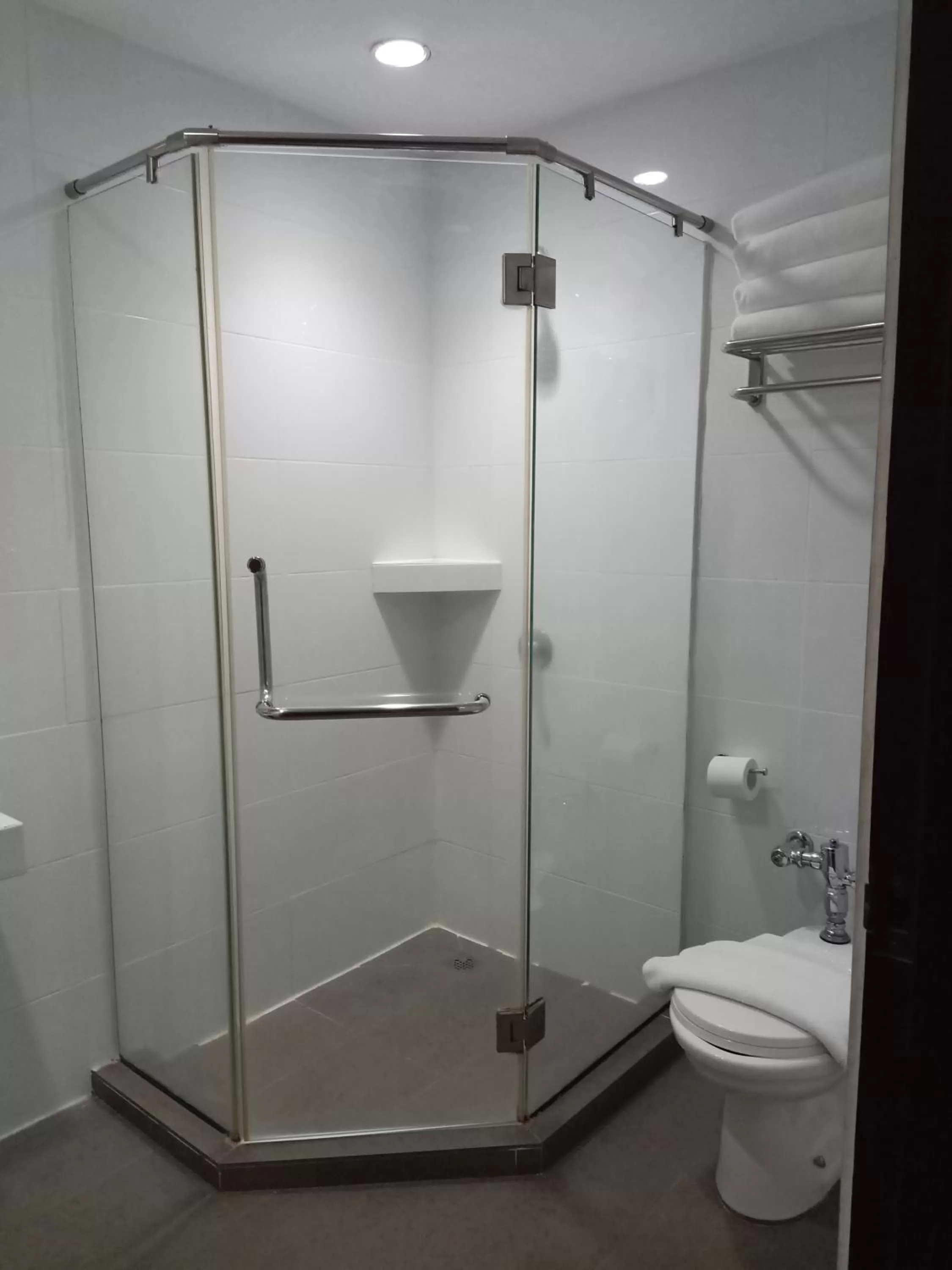 Toilet in Kinabalu Daya Hotel