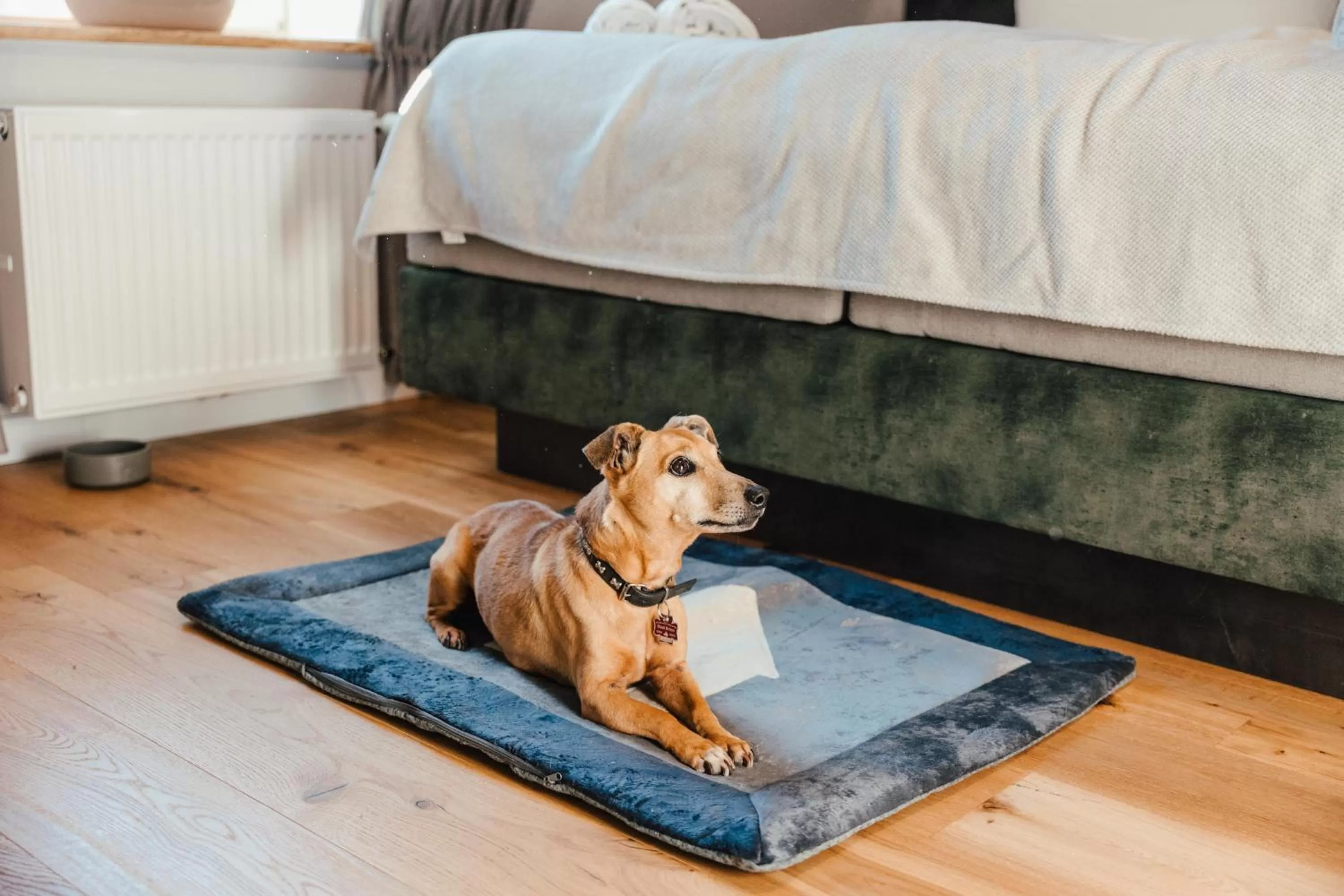 Bedroom in Schlosshotel Brilon-Wald