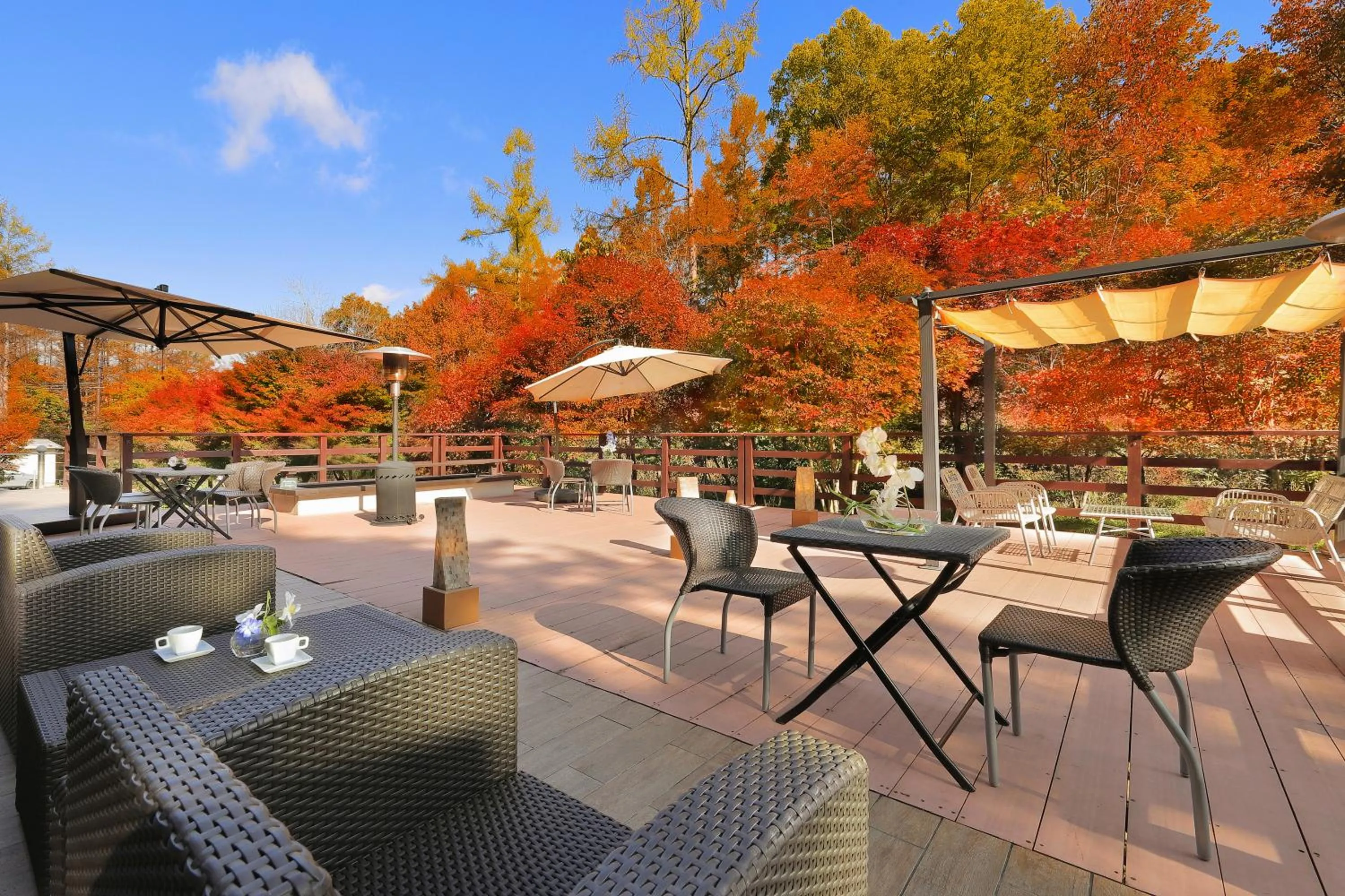 Balcony/Terrace in Hotel Ryu Resort and Spa