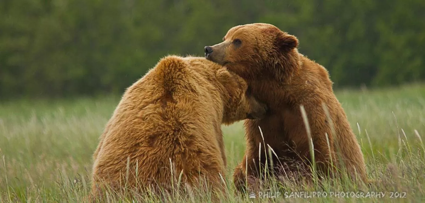 Off site, Other Animals in Halcyon Heights B&B/Inn