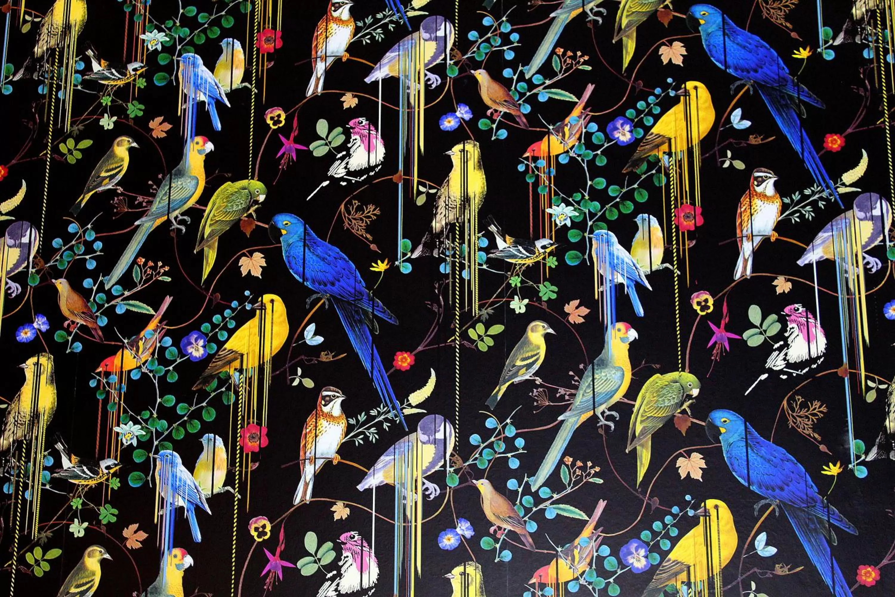 Decorative detail in 24 Royal Terrace