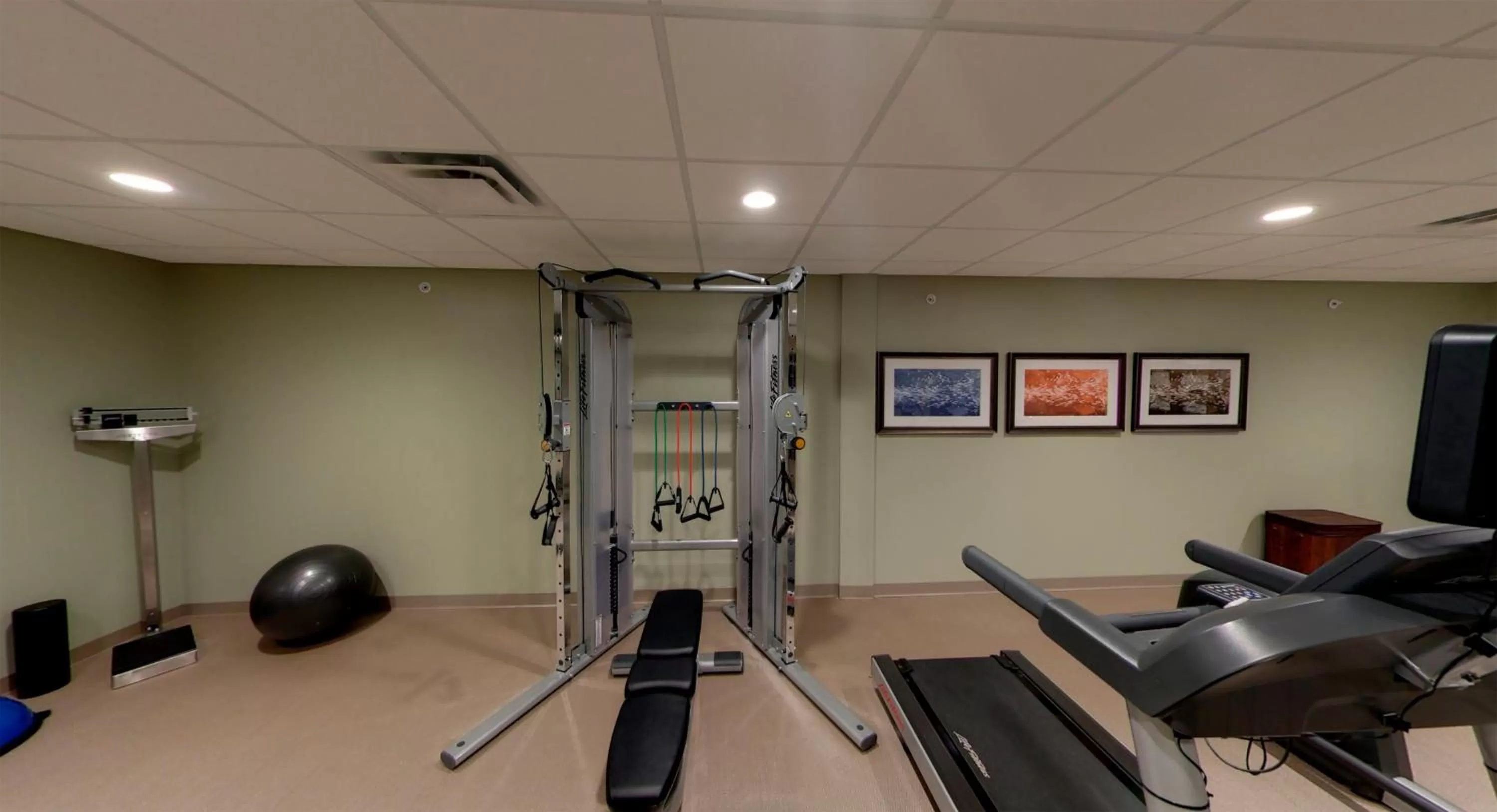Fitness centre/facilities in Staybridge Suites Ann Arbor - Research Parkway by IHG