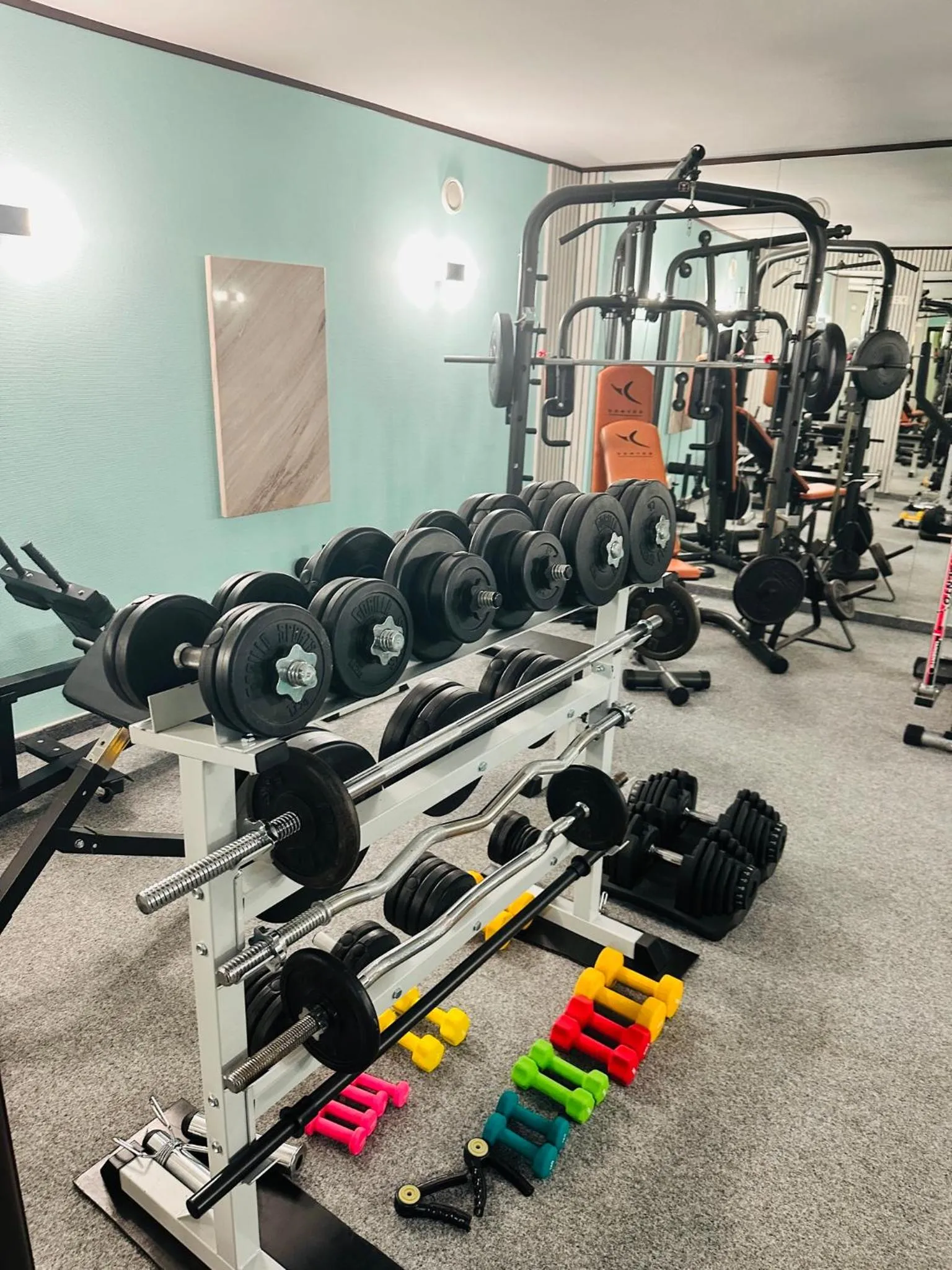 Fitness centre/facilities in Villa & Restaurant Levoslav House