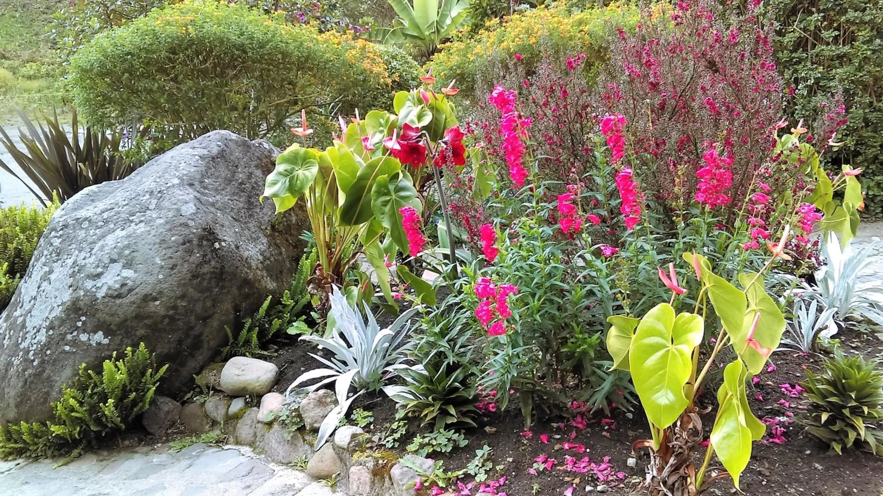 Garden in Hotel Termales Tierra Viva
