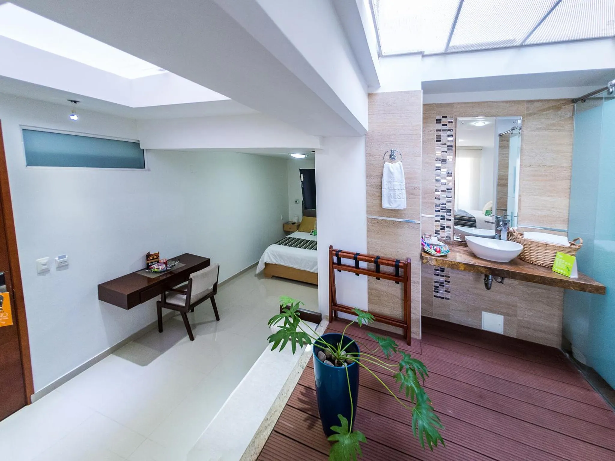 Junior Suite in Hotel Buena Vista