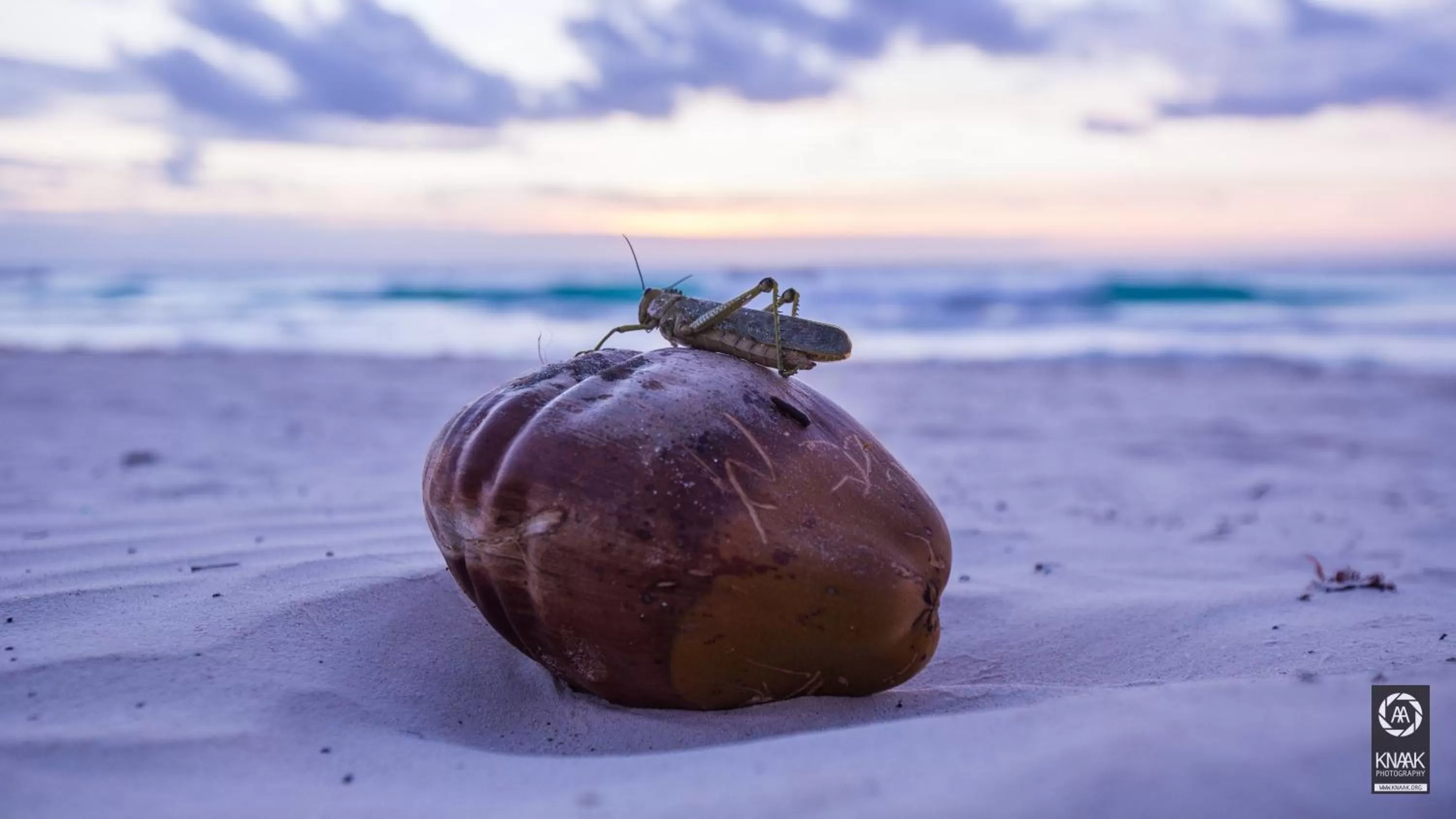 Beach in Hotel Pocna Tulum