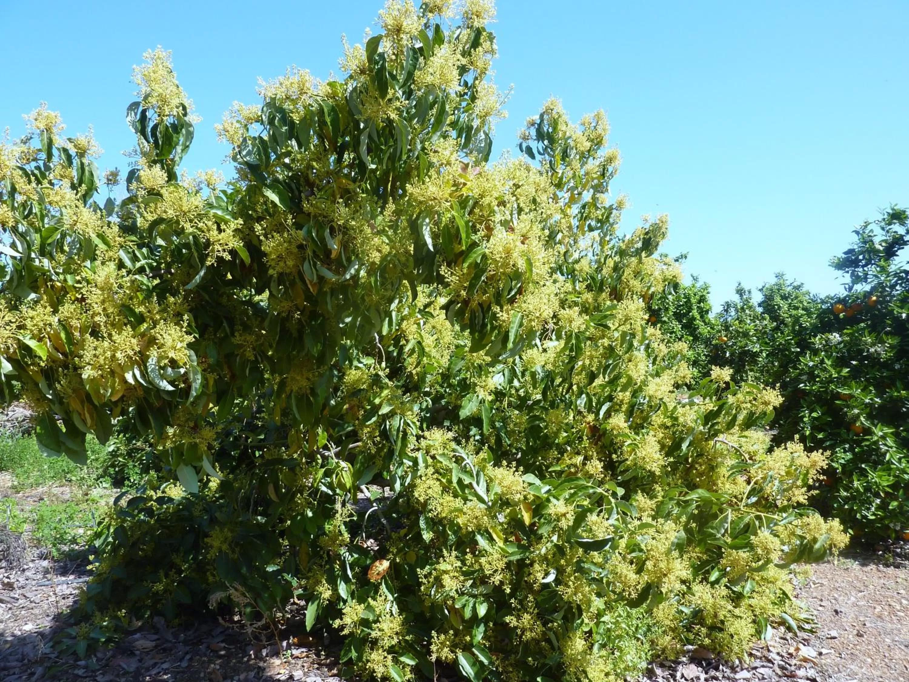 Other in Aphrodite Beach Hotel