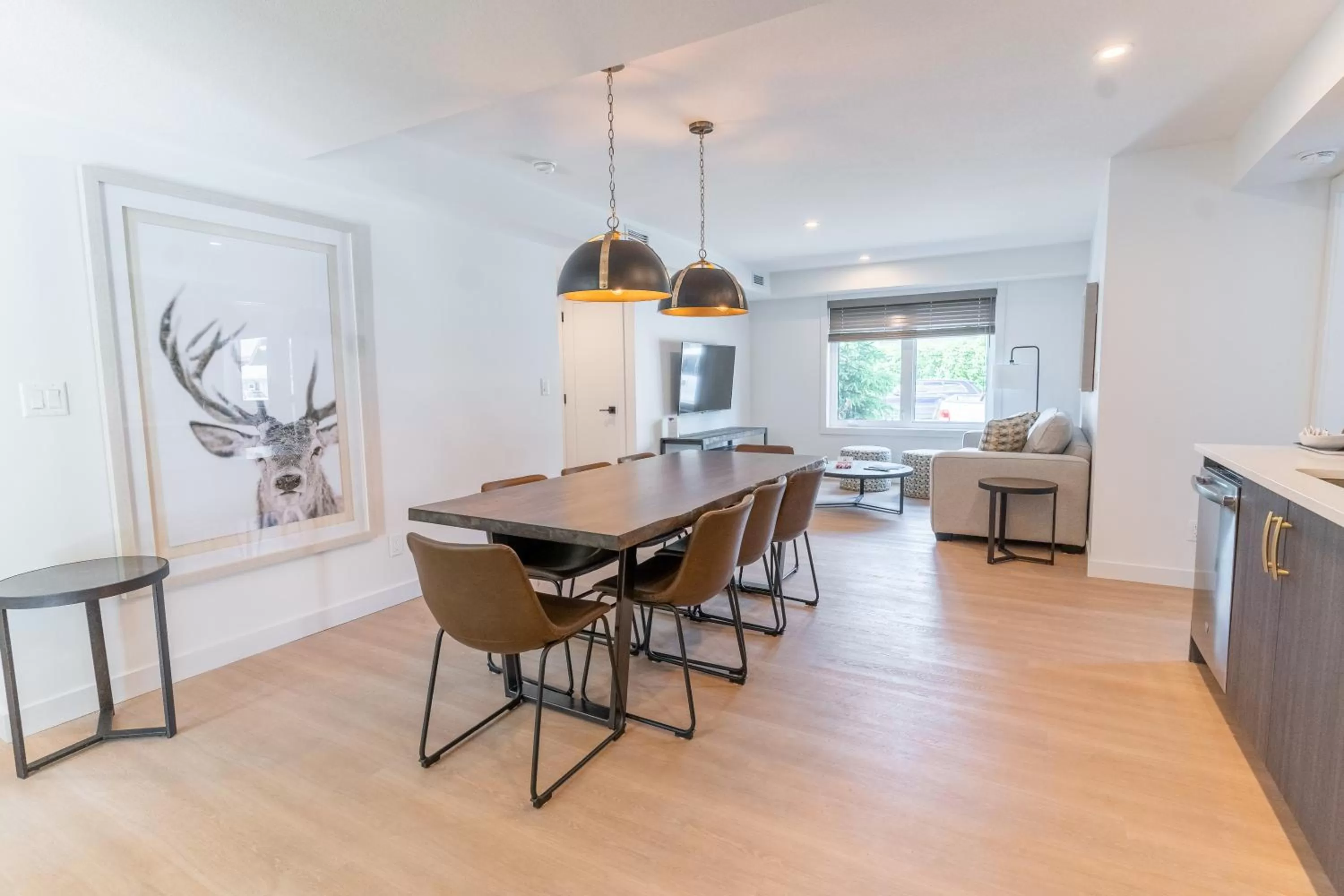 Living room in Basecamp Suites Canmore