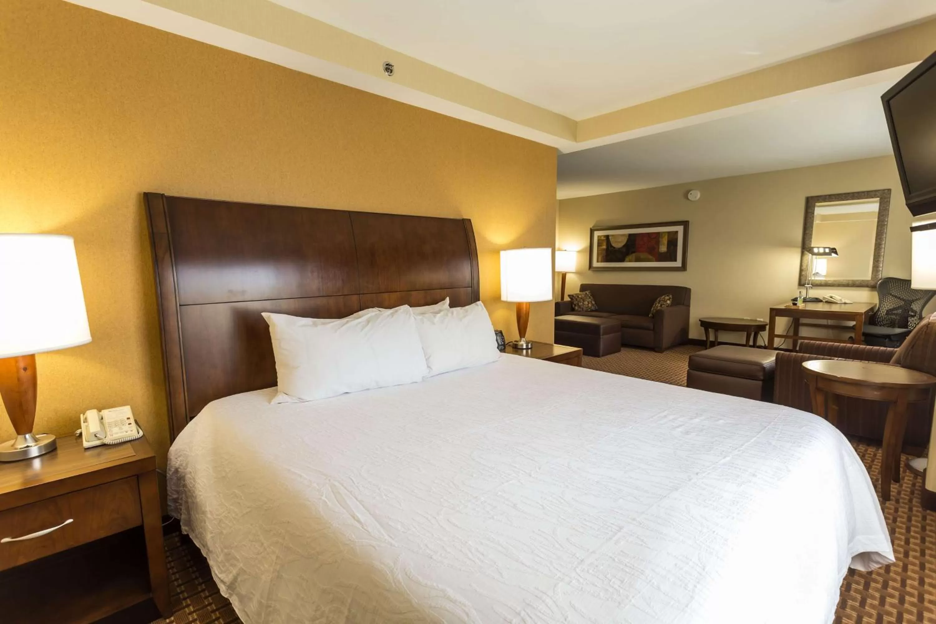 One-Bedroom King Suite in Hilton Garden Inn San Mateo