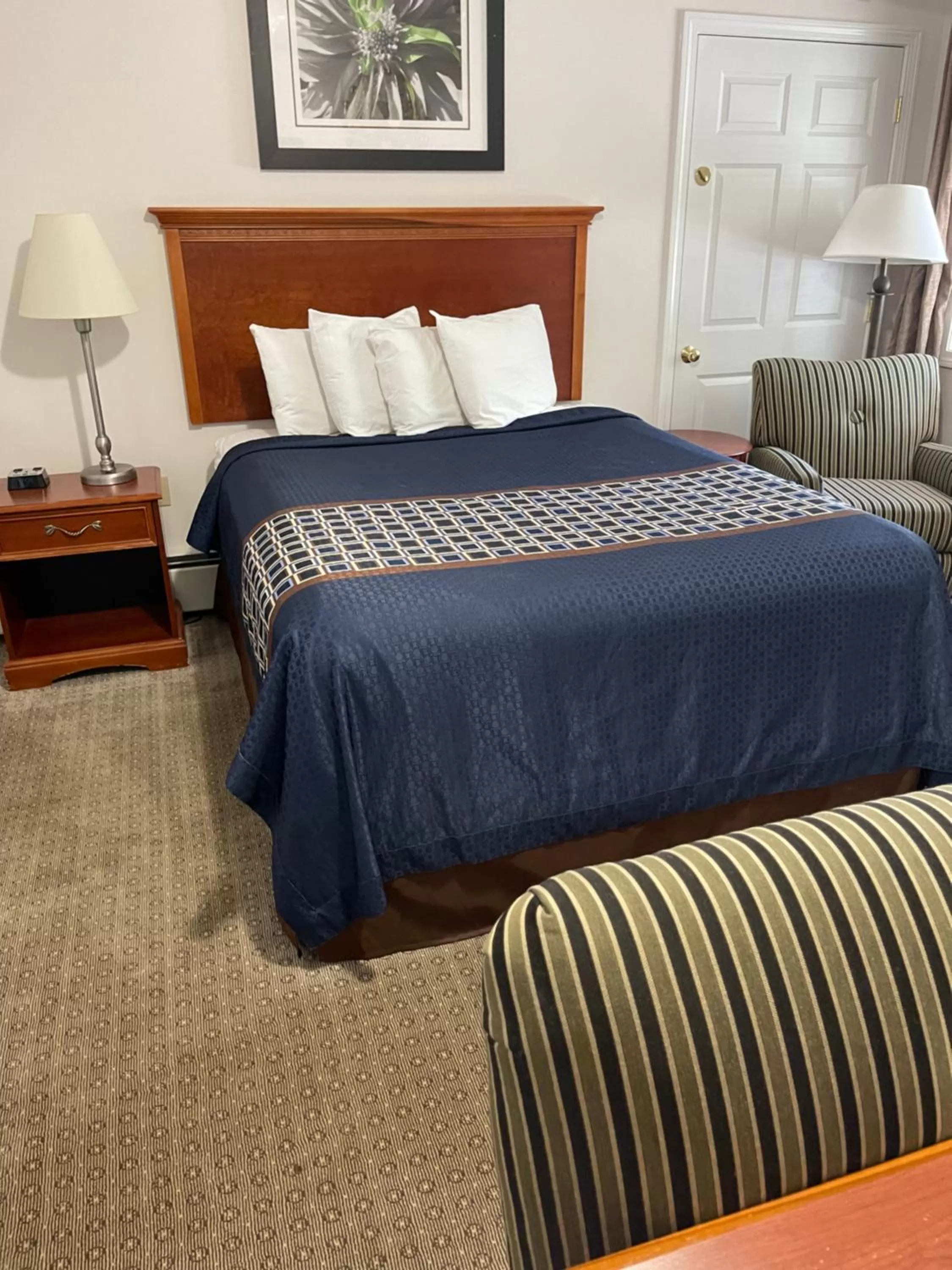 Bed in Colonial Motel