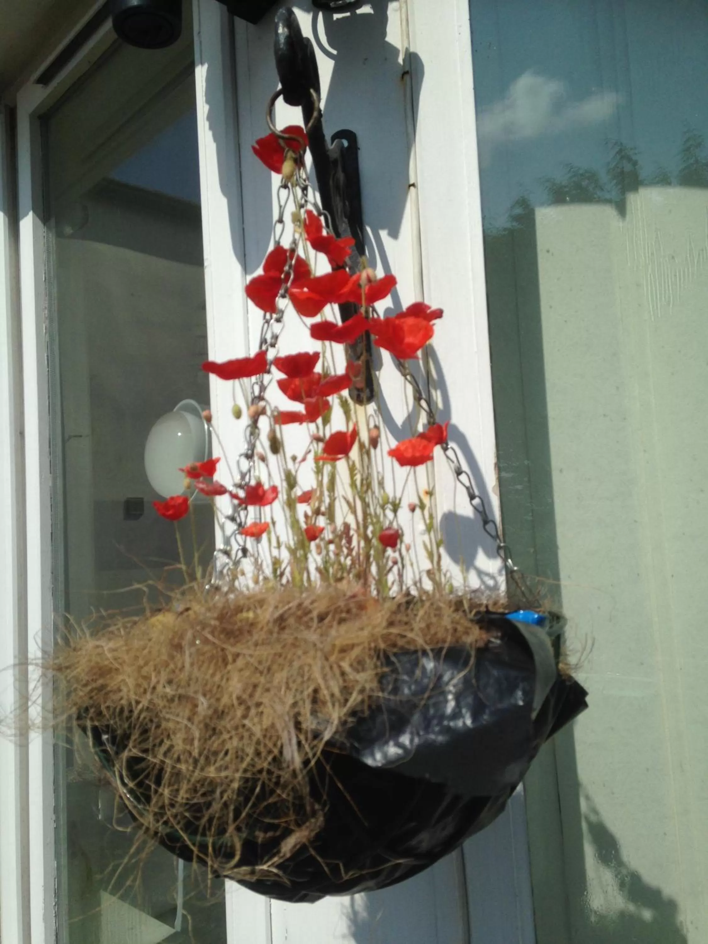 View (from property/room) in Lynebank House Hotel, Bed & Breakfast