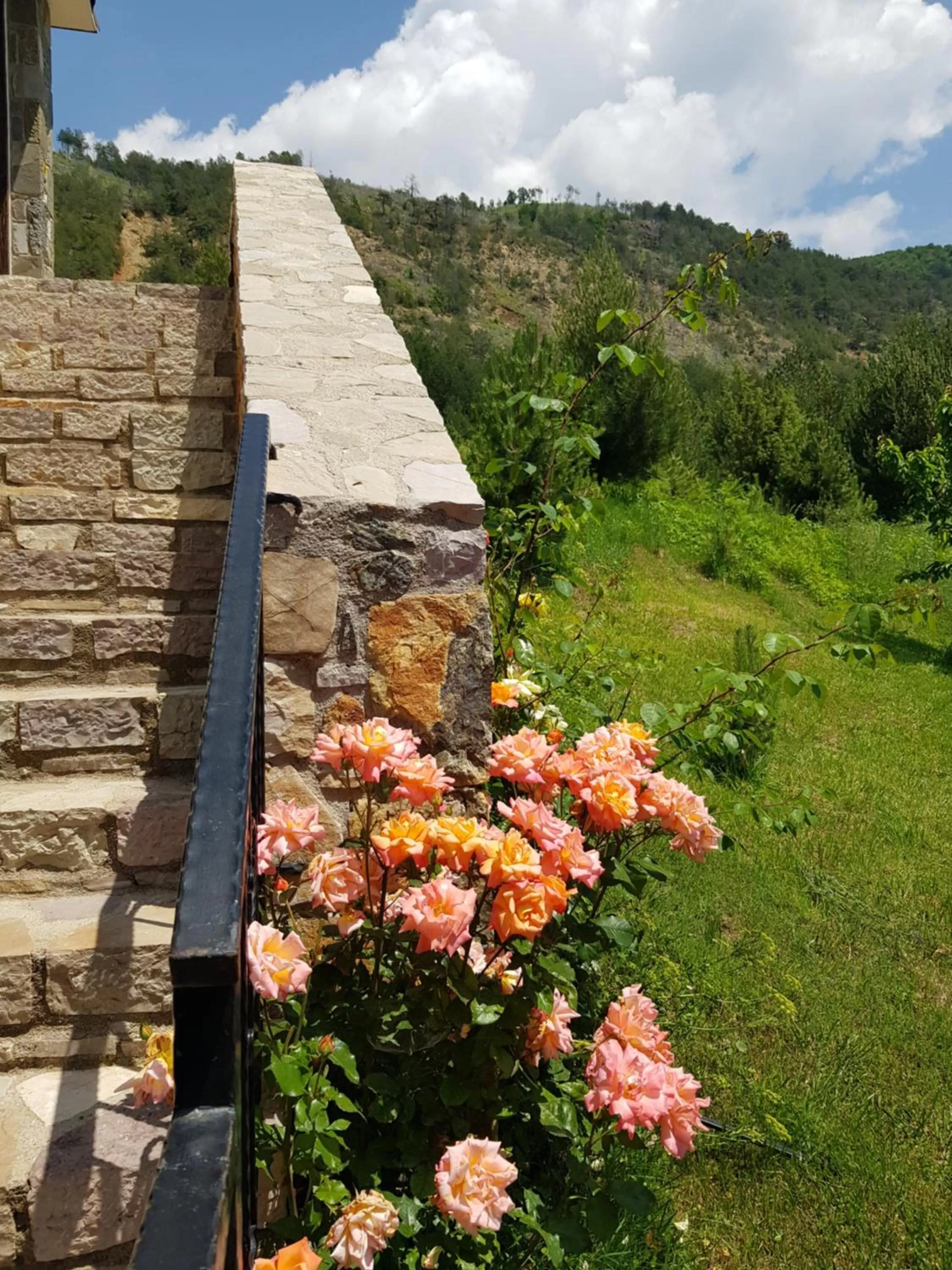 Spring in Sofra E Shpatit